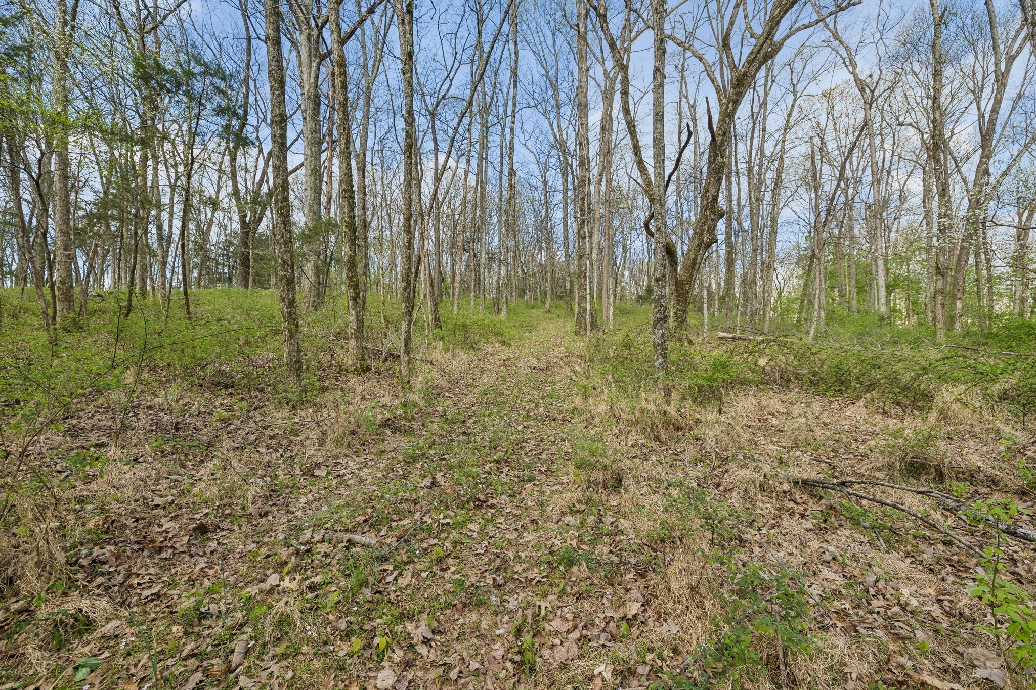 0 Turney Rd Property Photo 15