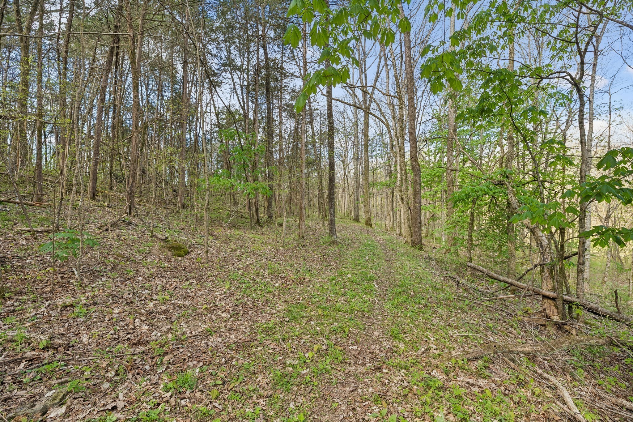 0 Turney Rd Property Photo 16