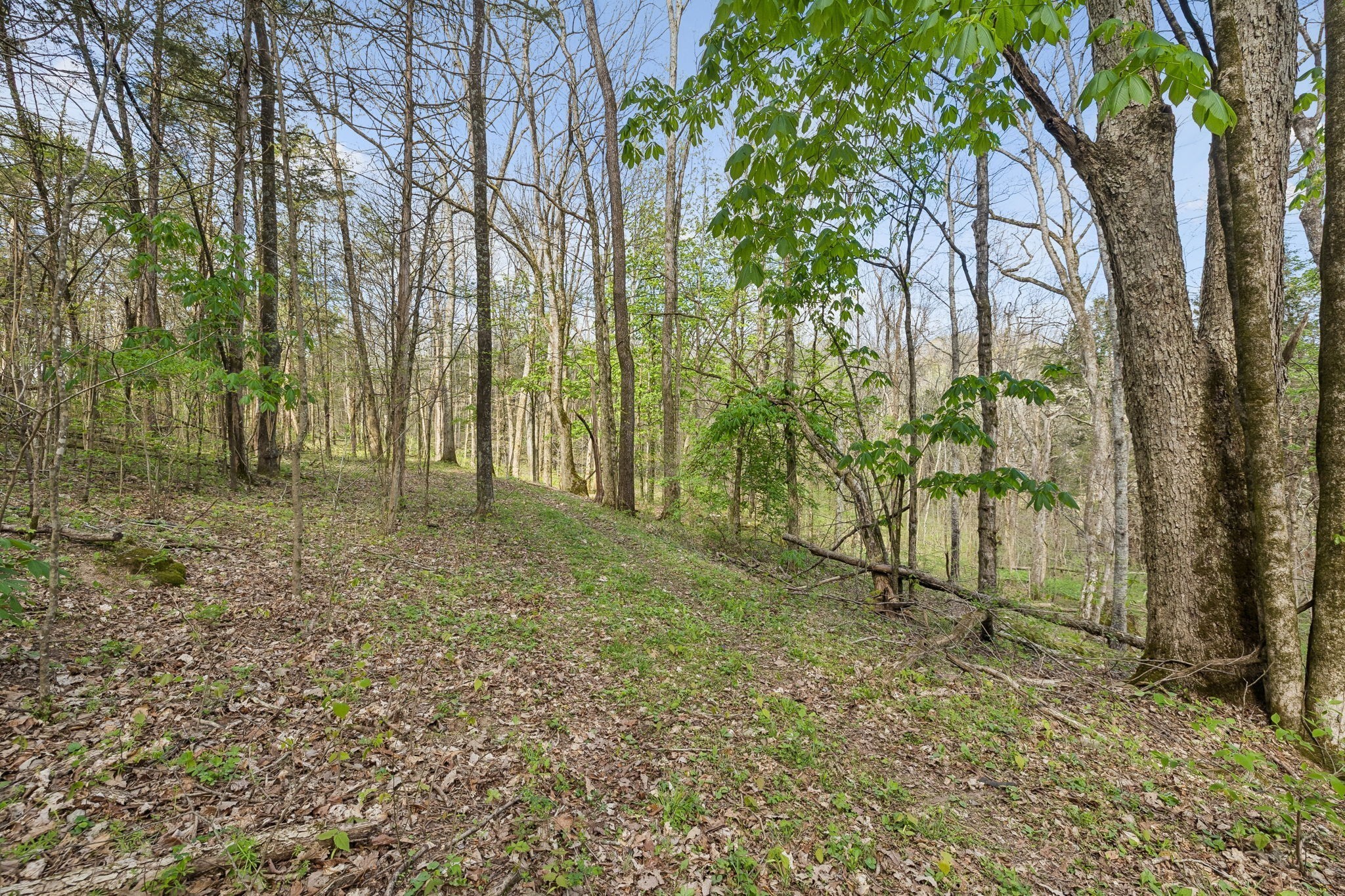 0 Turney Rd Property Photo 17