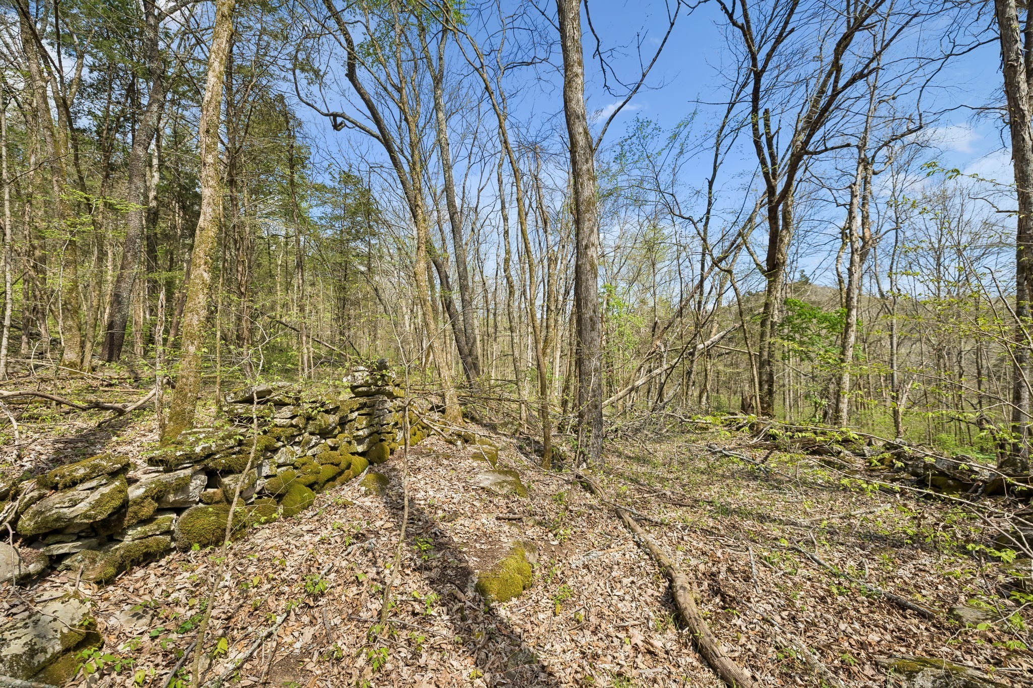 0 Turney Rd Property Photo 21