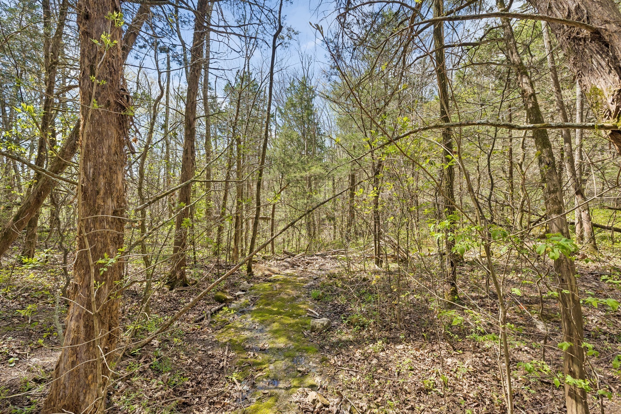 0 Turney Rd Property Photo 26
