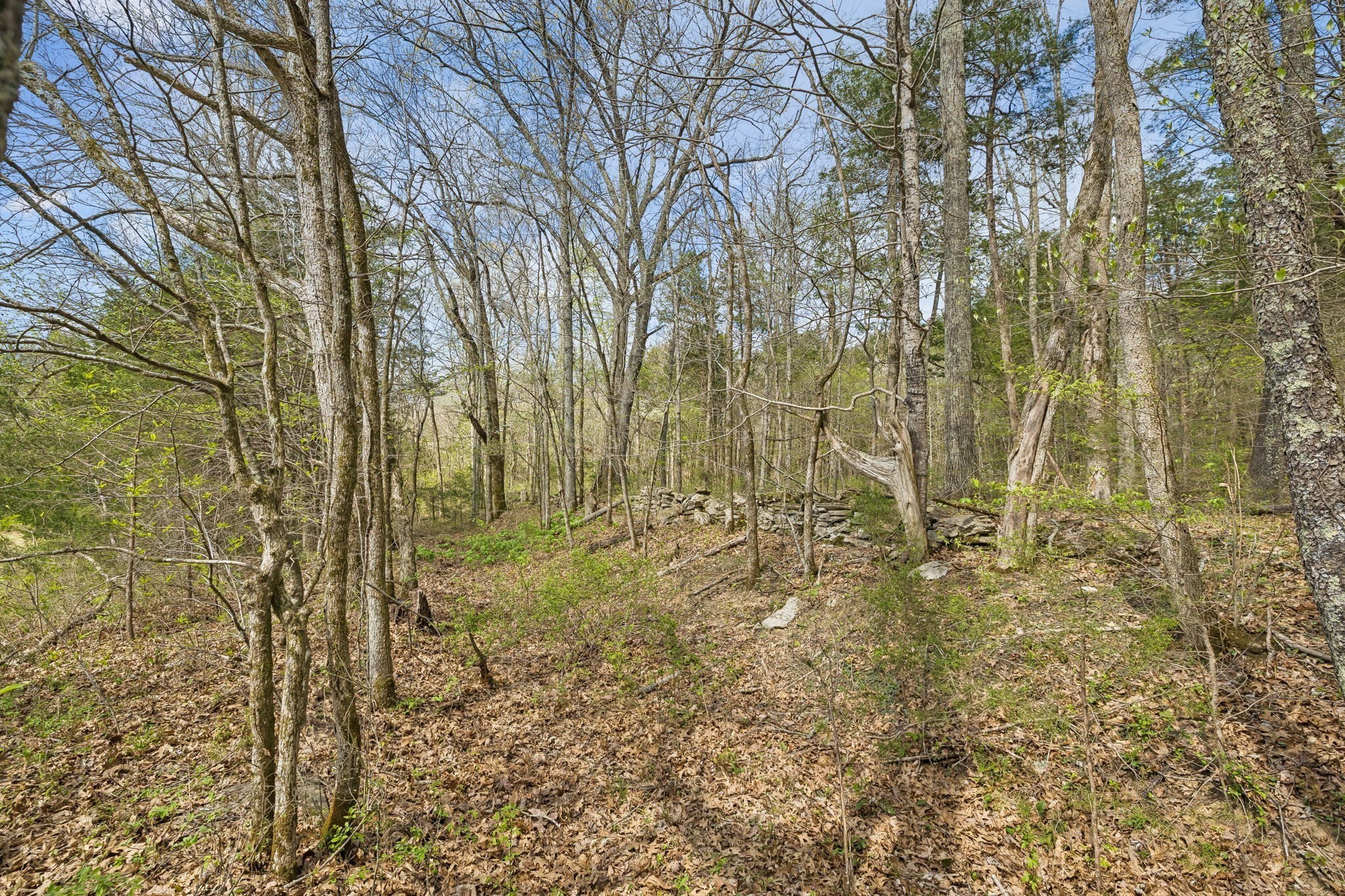 0 Turney Rd Property Photo 28