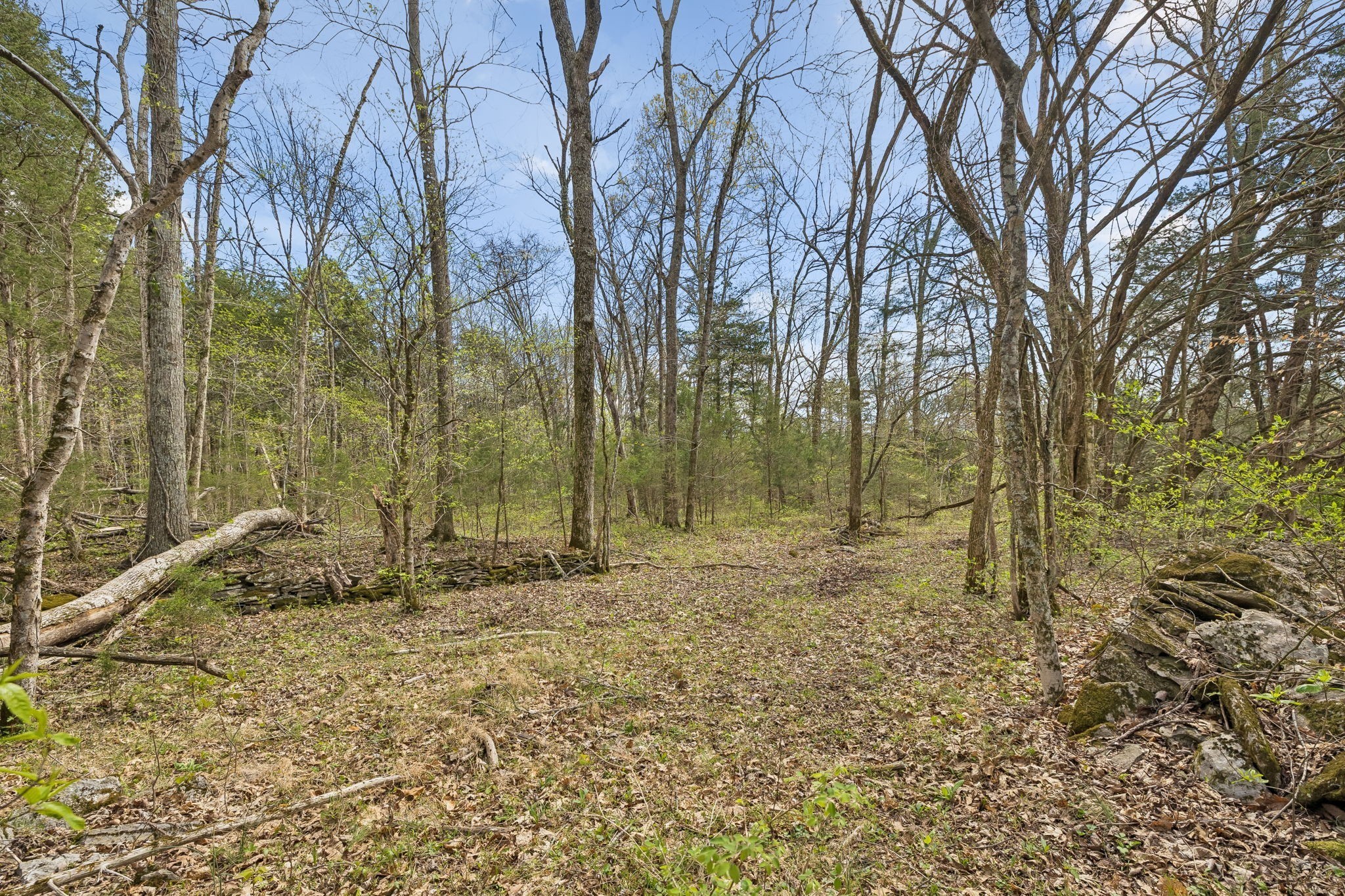 0 Turney Rd Property Photo 29