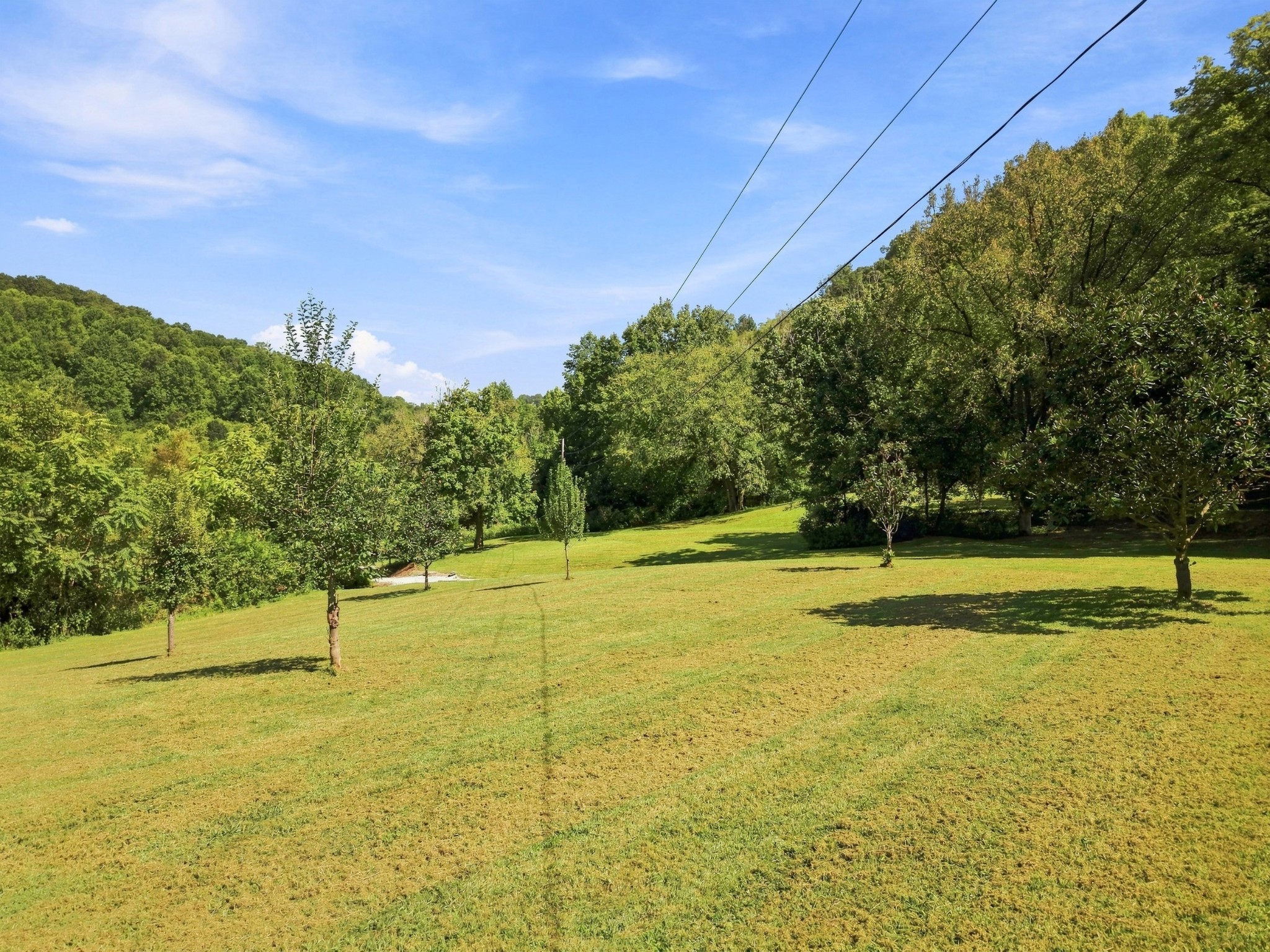 59 Russell Ln Property Photo 57