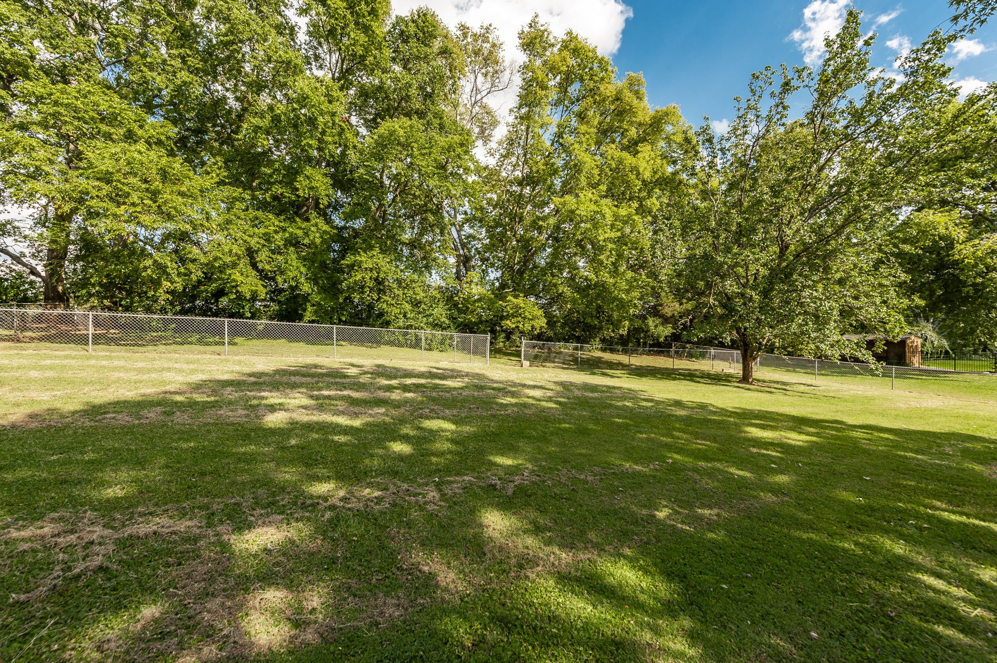 1241 Timberwood Dr Property Photo 55