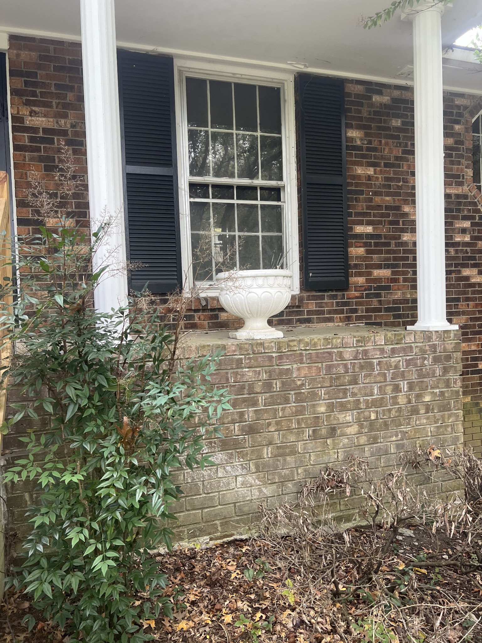 3611 Fairmeade Dr Property Photo 2