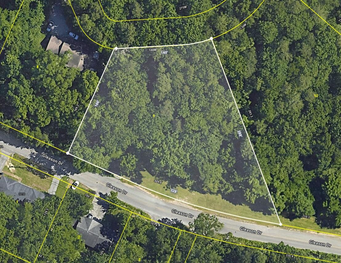 0 Tom Wilson Trail Property Photo 1