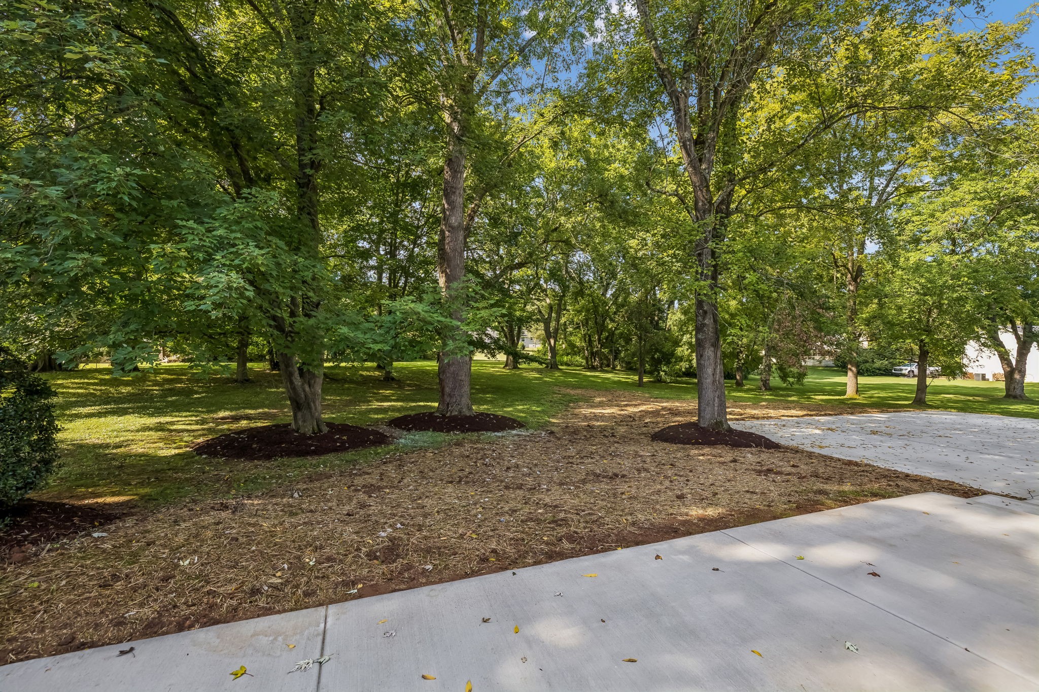 8113 Warner Rd Property Photo 52