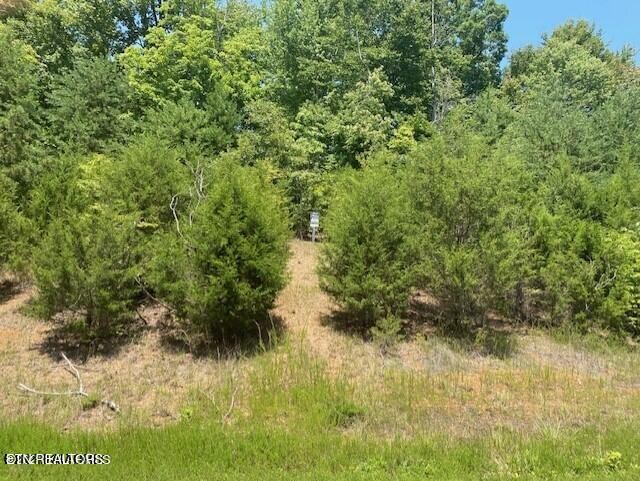 492 Citron Lane Property Photo 1