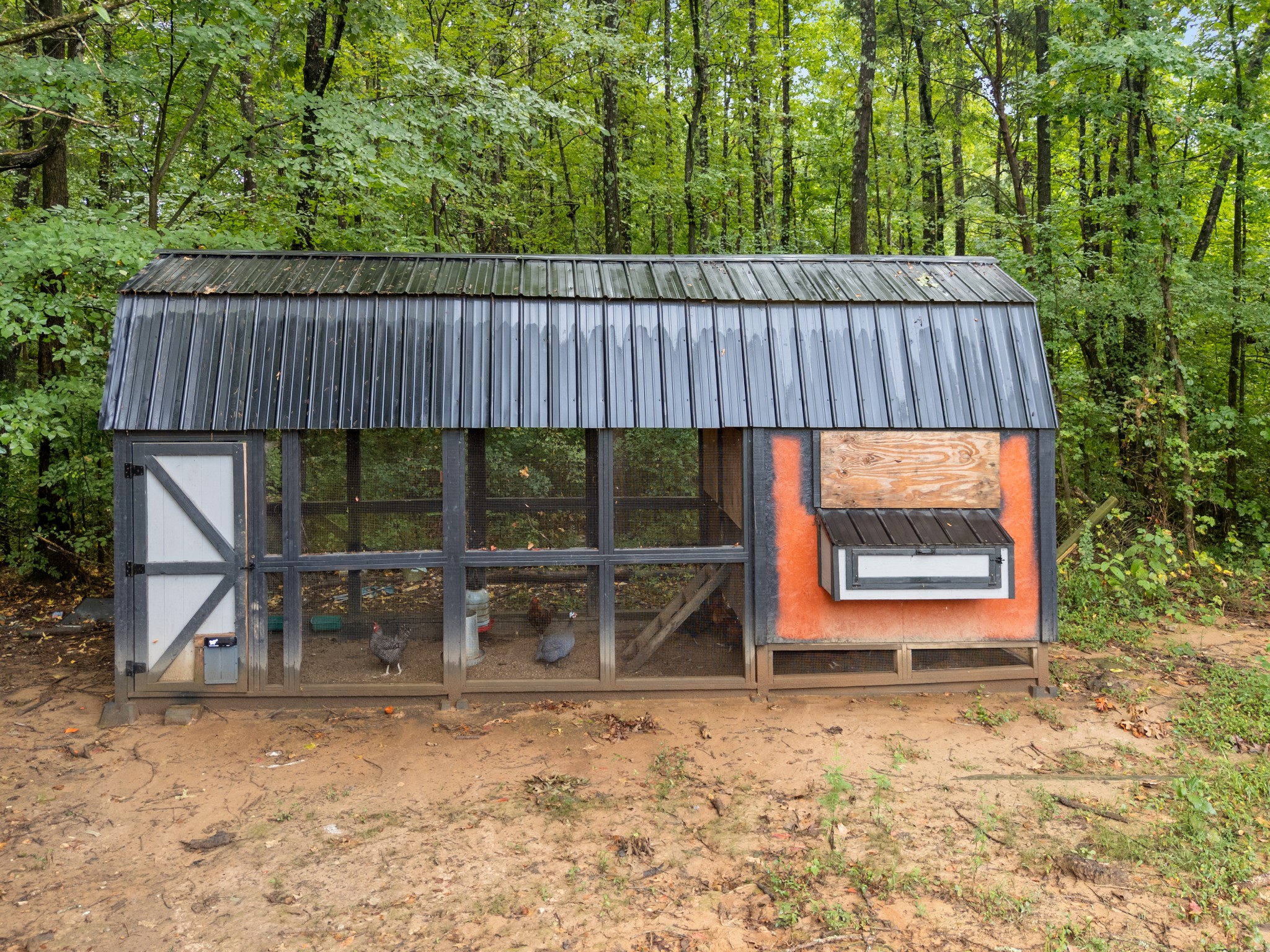 1230 Maytown Rd Property Photo 43