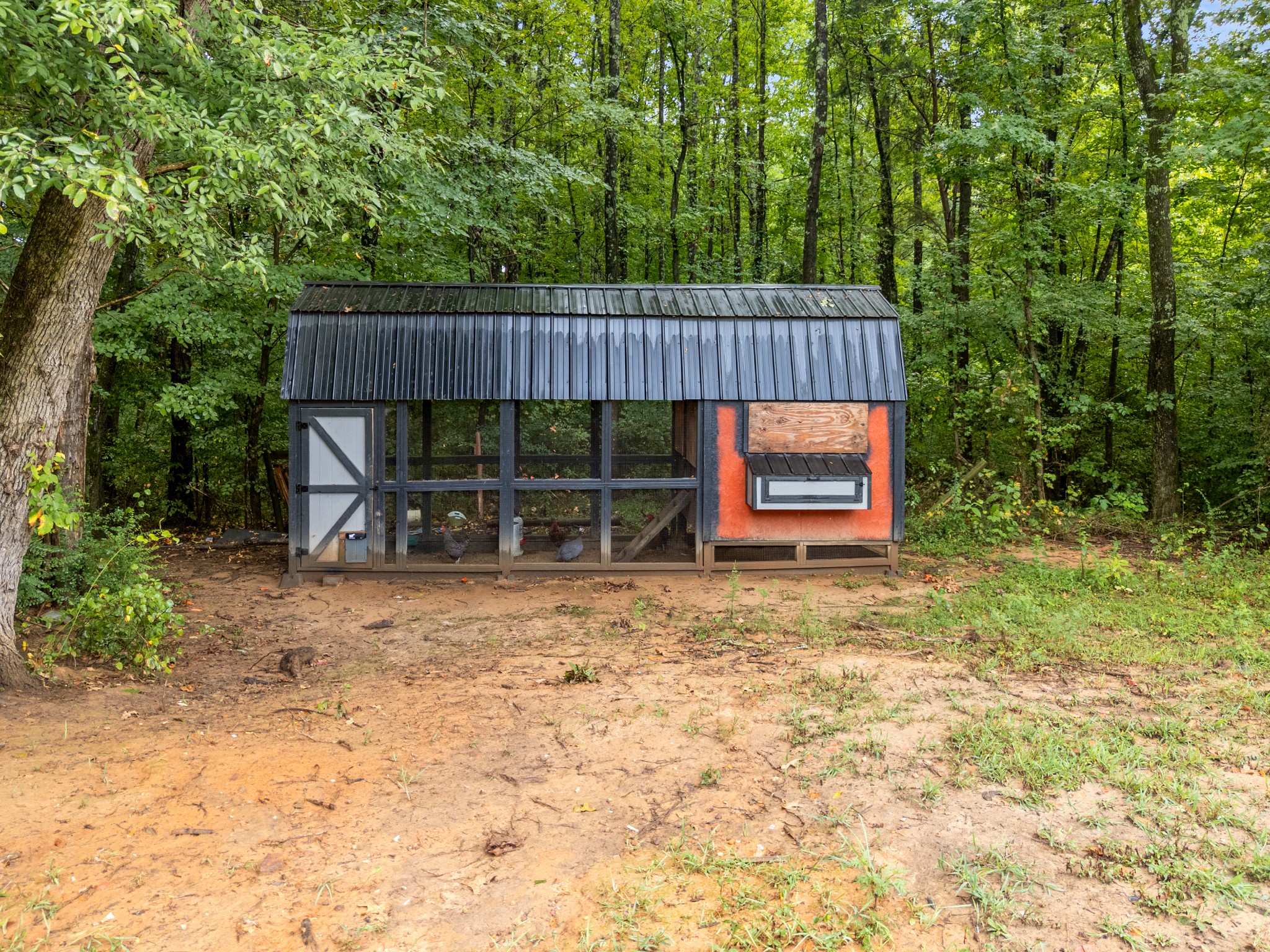 1230 Maytown Rd Property Photo 44