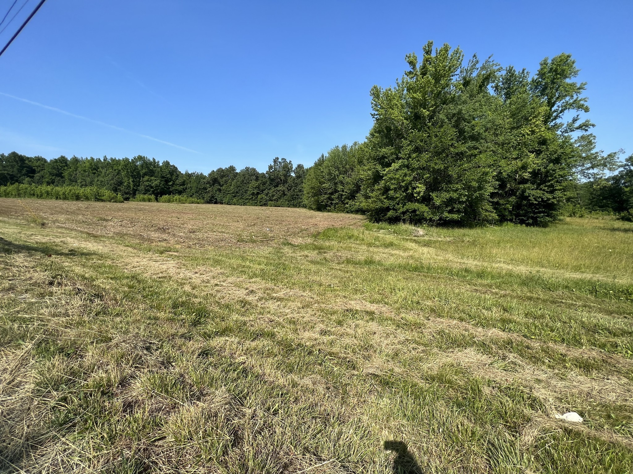 1 Maxey Property Photo 6