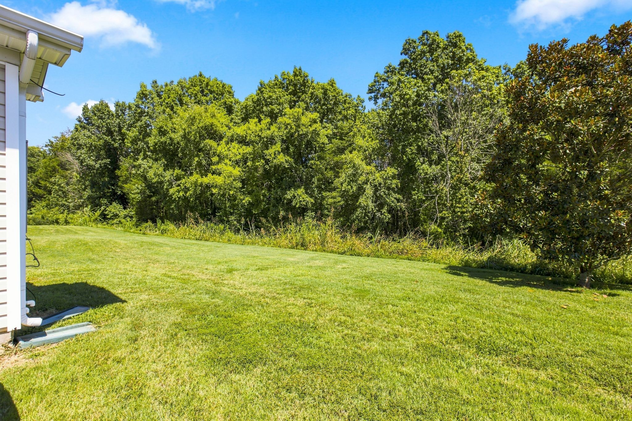 2024 Shaylin Loop Property Photo 25