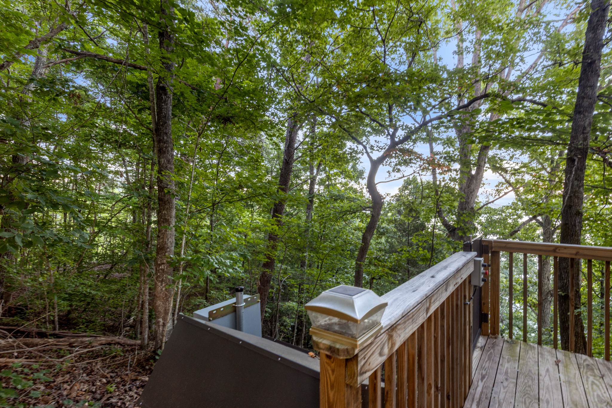 260 Lakeside Lodge Ln Property Photo 37