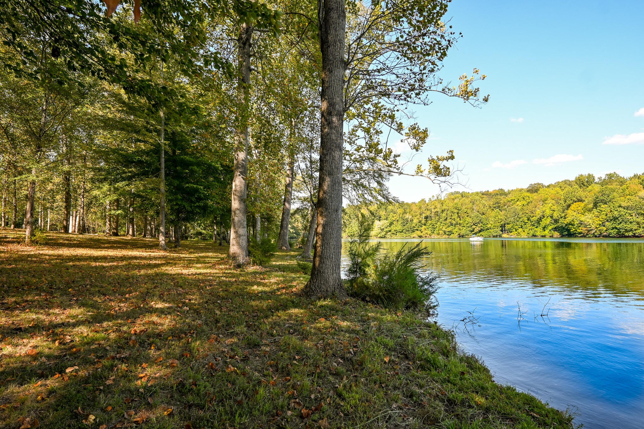 8024 Highway 58 Property Photo 5