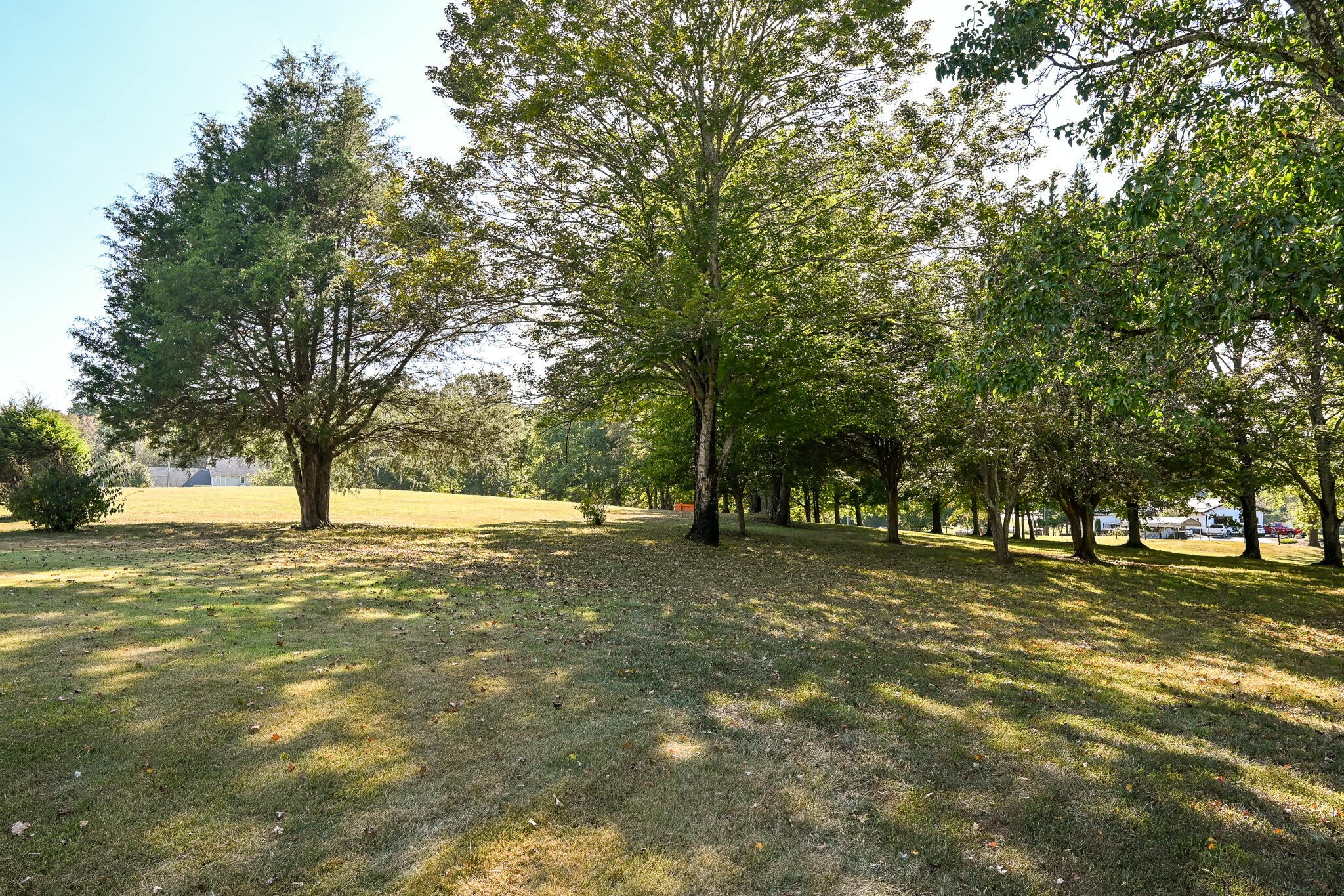 8024 Highway 58 Property Photo 69