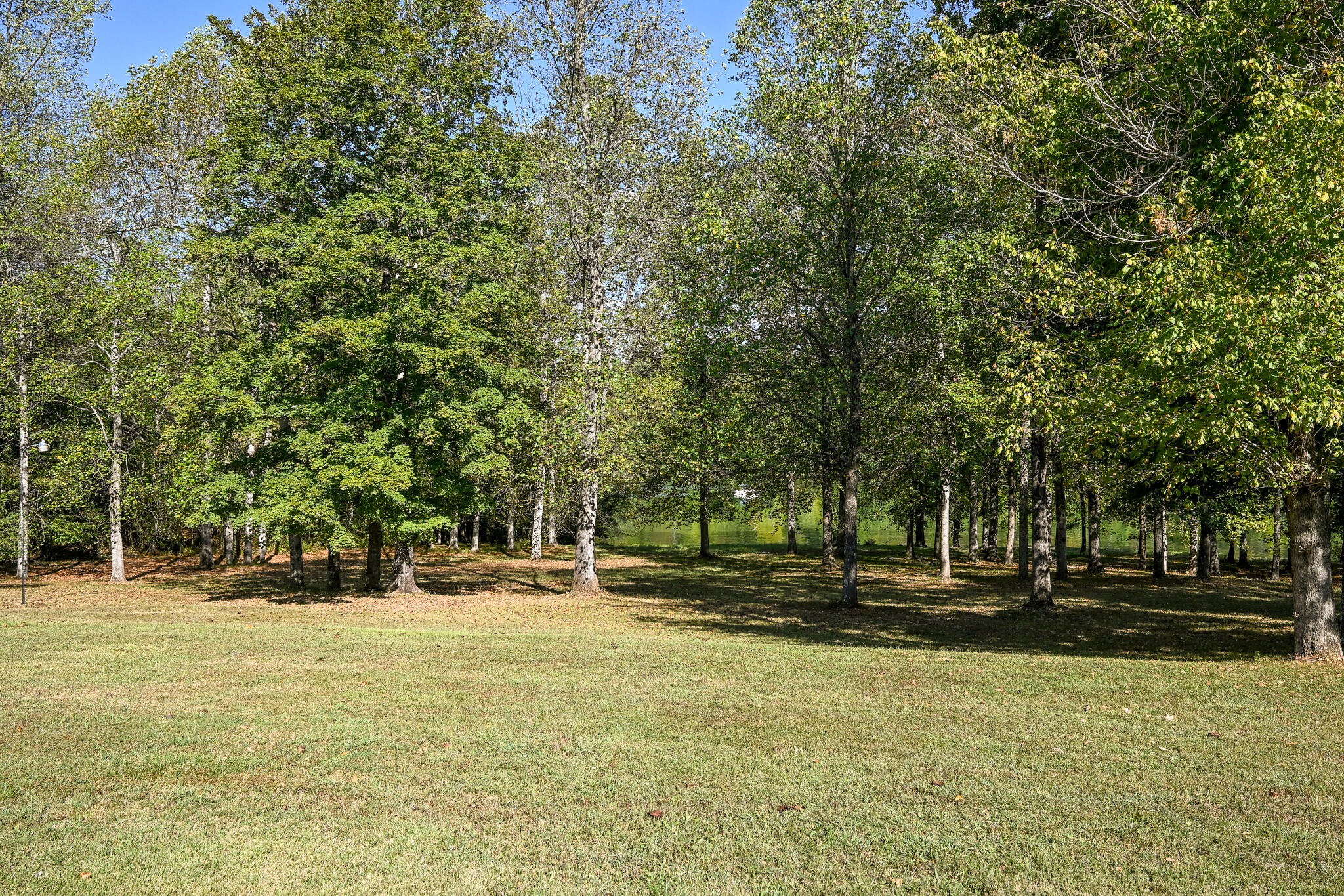 8024 Highway 58 Property Photo 70