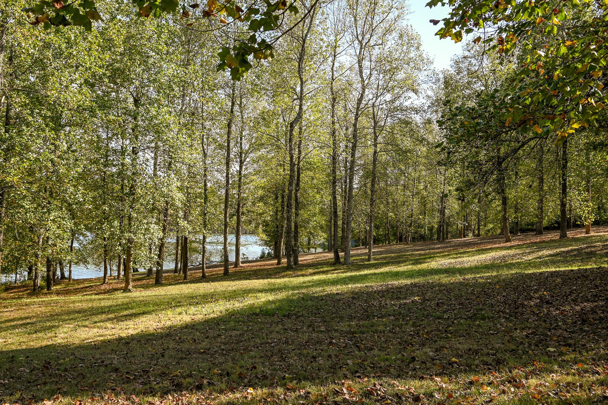 8024 Highway 58 Property Photo 72