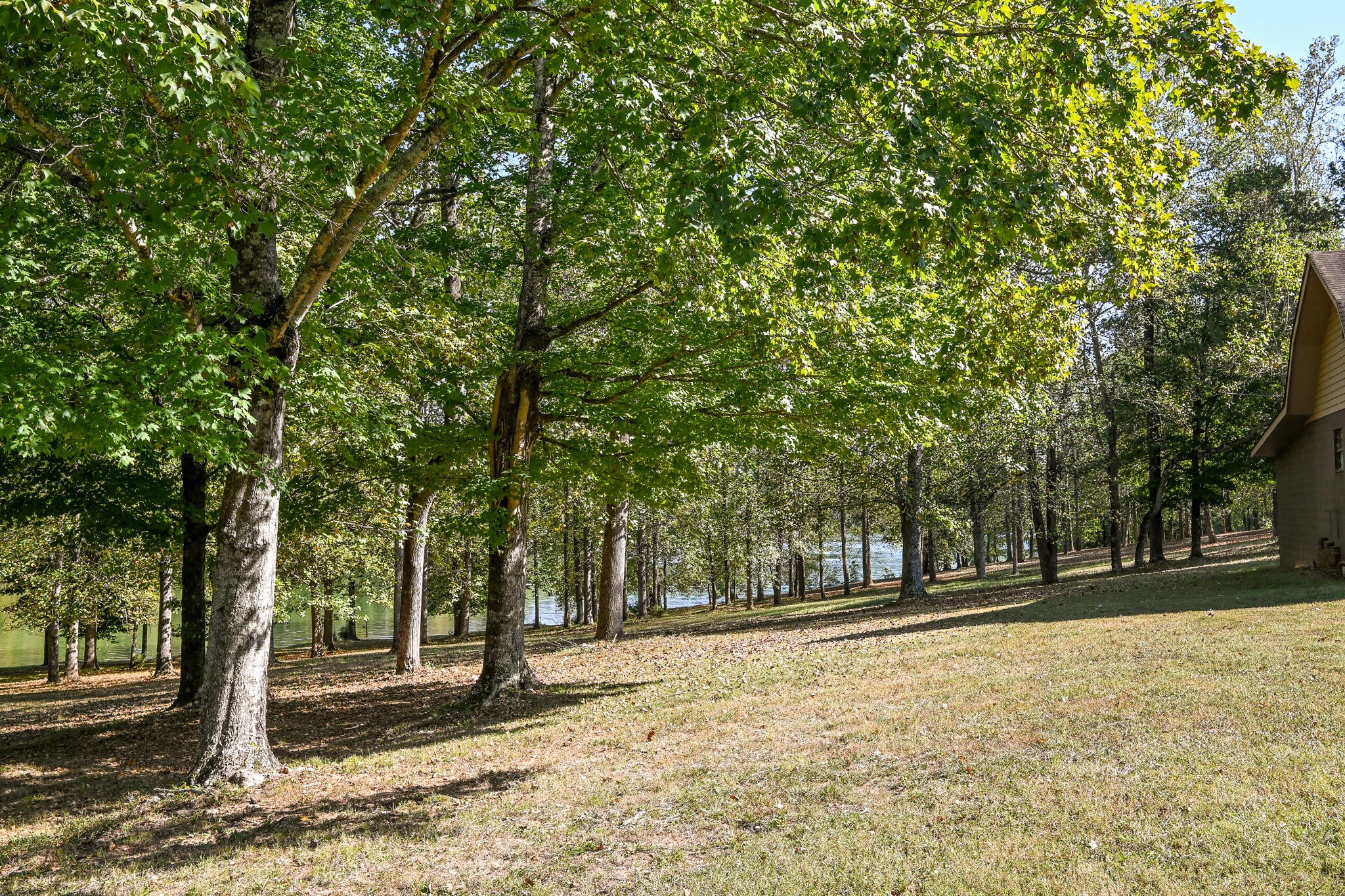 8024 Highway 58 Property Photo 73