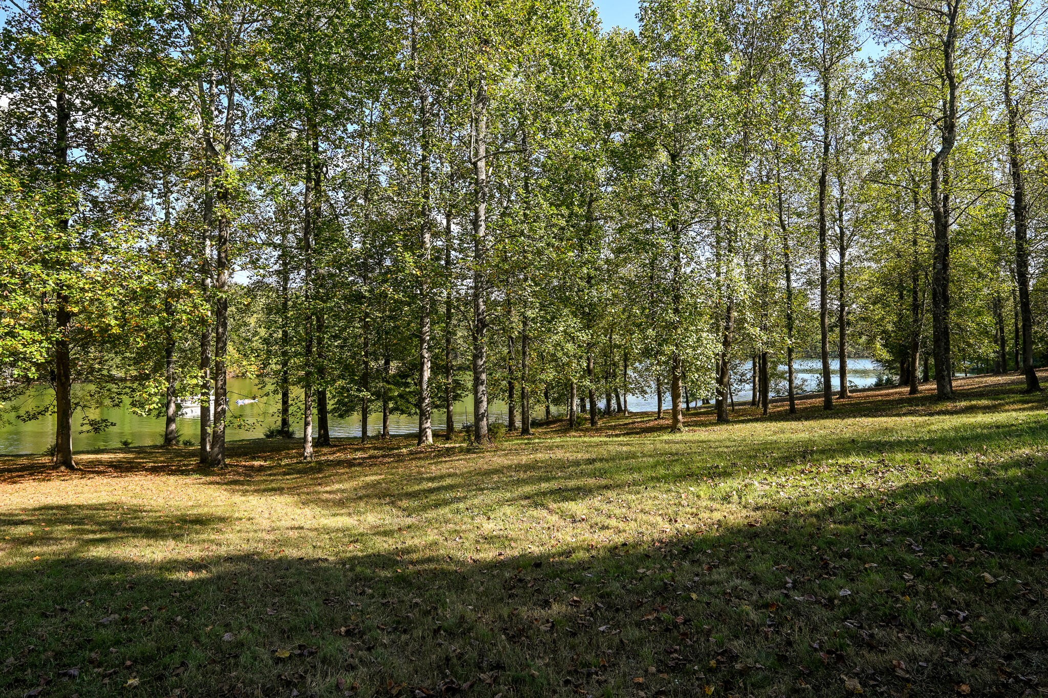 8024 Highway 58 Property Photo 74