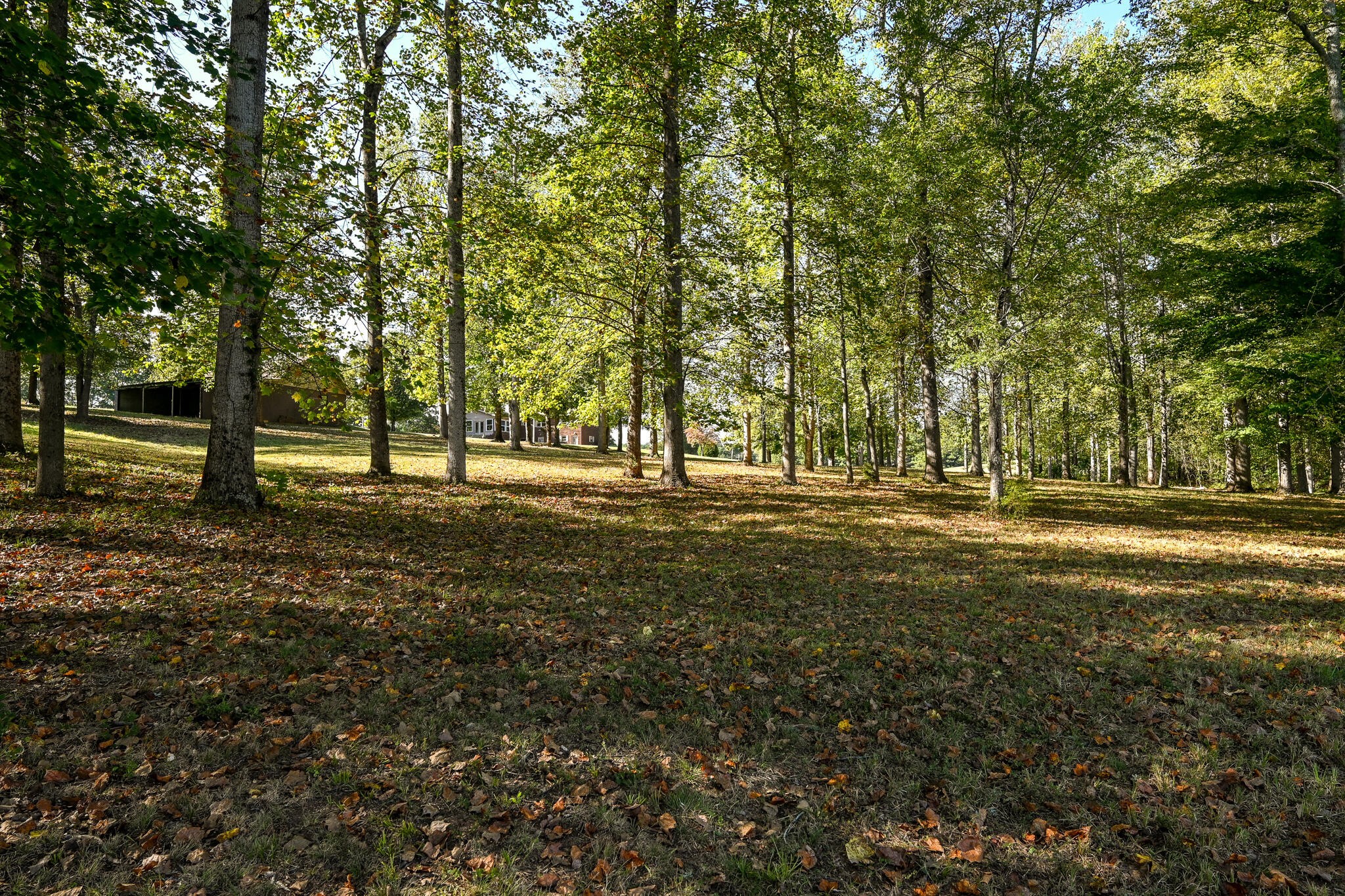 8024 Highway 58 Property Photo 75