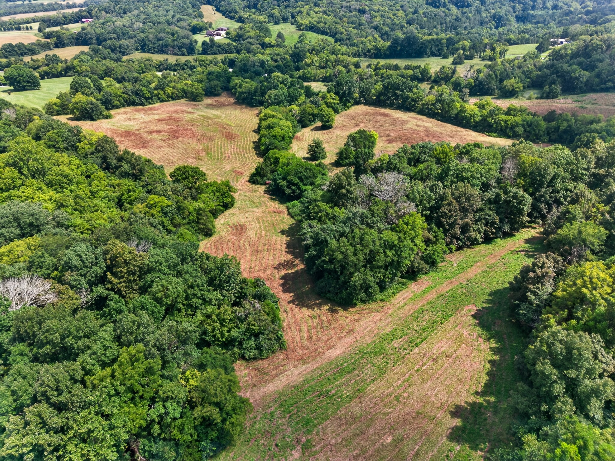 0 Cheatham Rd Property Photo 4