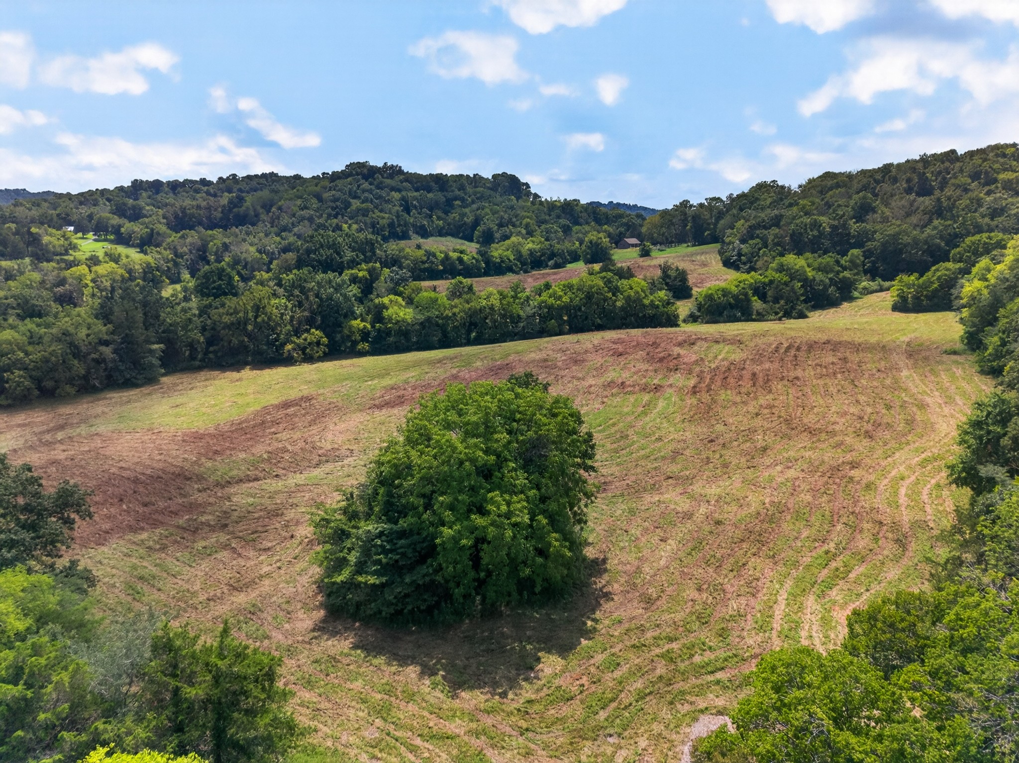 0 Cheatham Rd Property Photo 12
