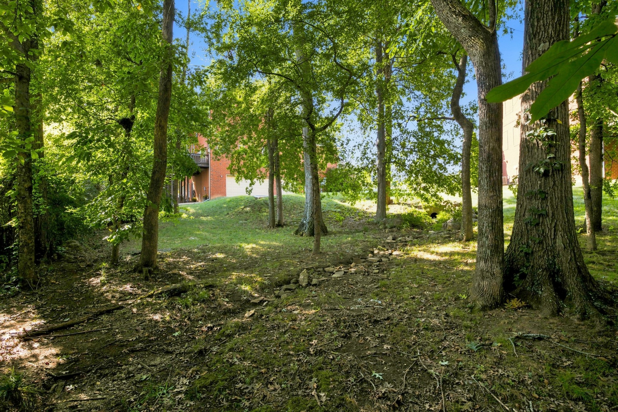 2003 White Rock Cir Property Photo 62