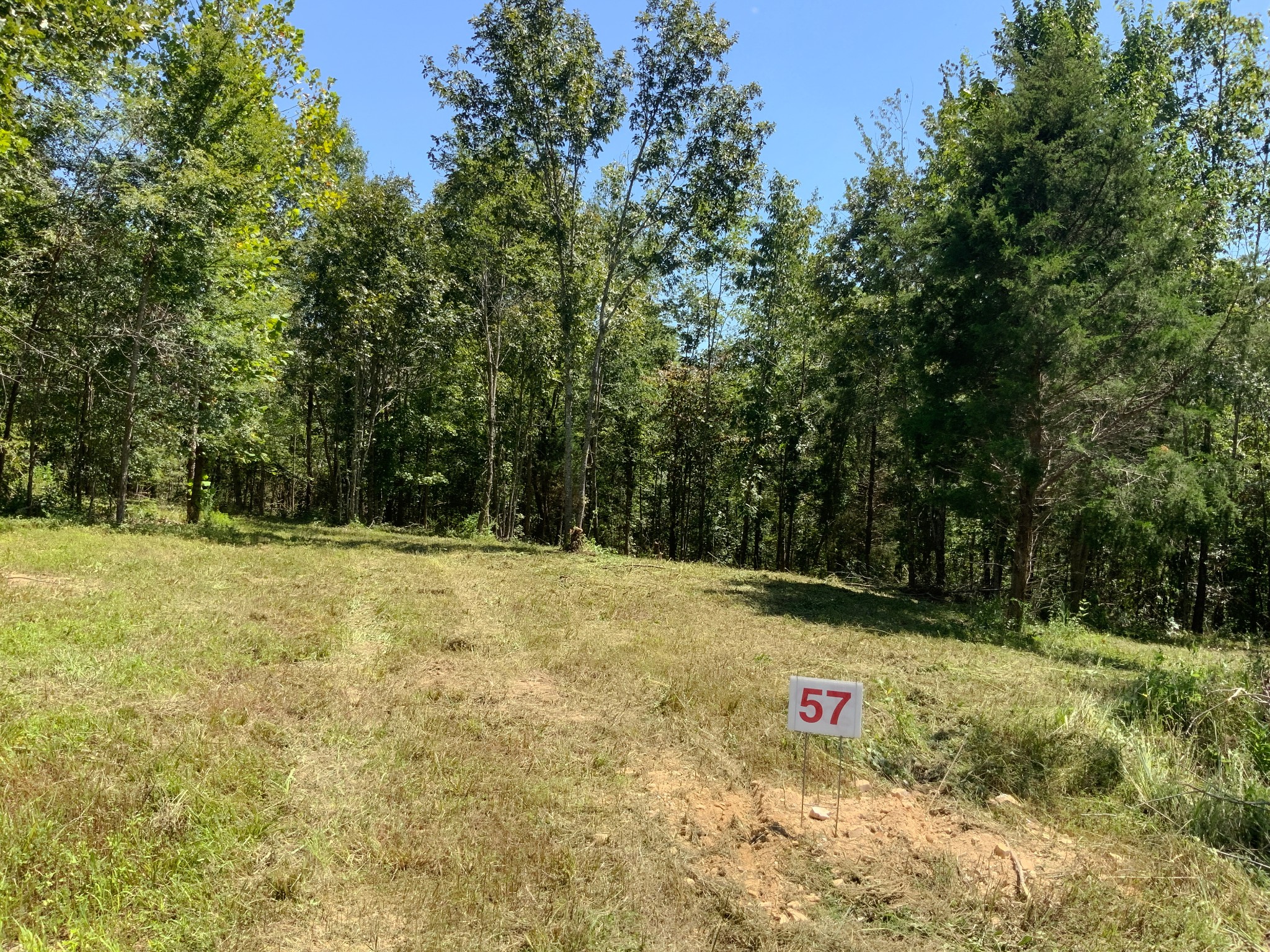 0 Streamside Drive Property Photo 2