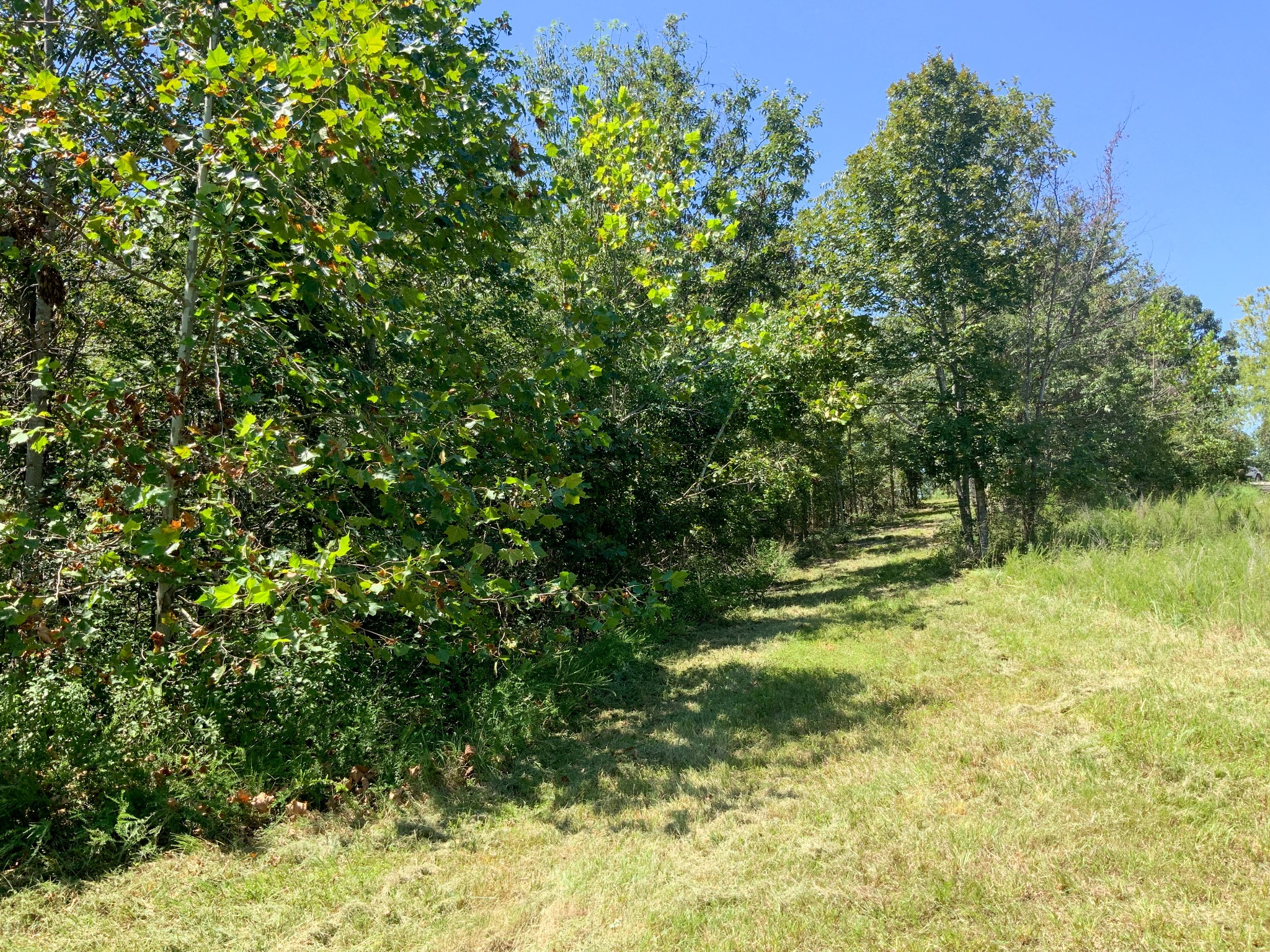 0 Streamside Drive Property Photo 4