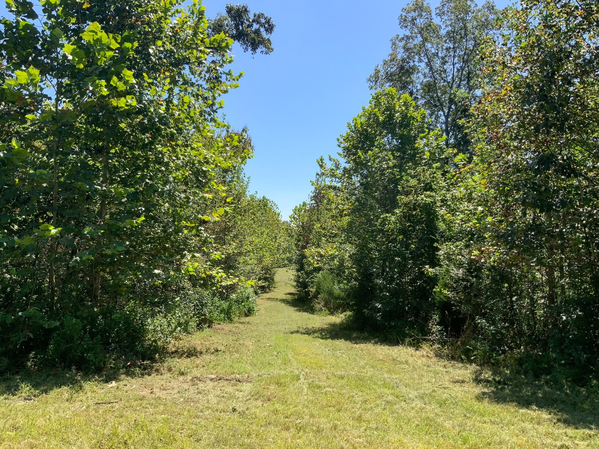 0 Streamside Drive Property Photo 5