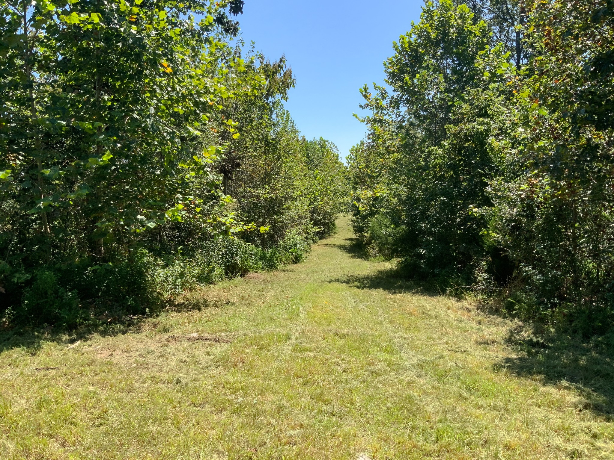0 Streamside Drive Property Photo 6