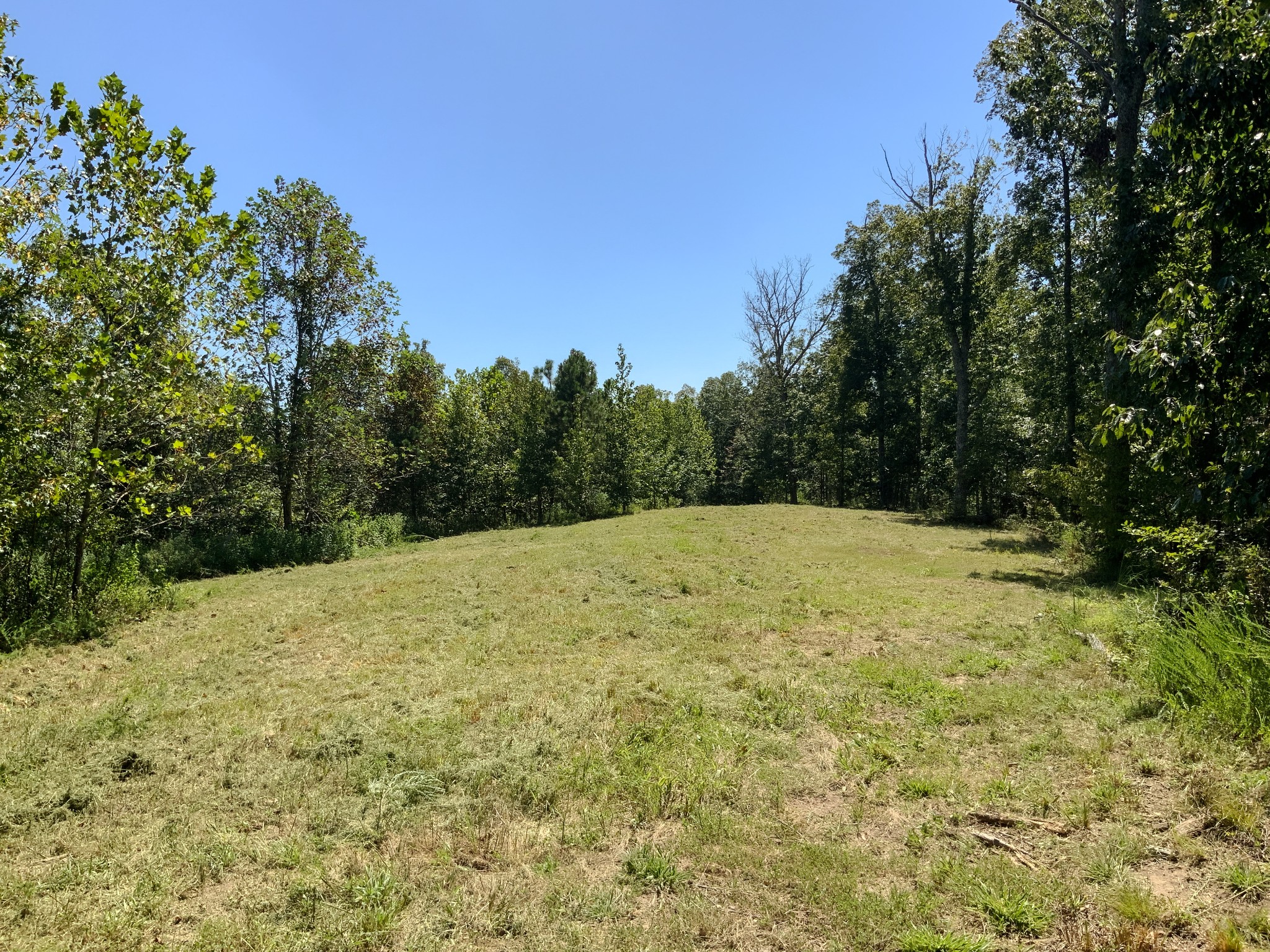 0 Streamside Drive Property Photo 7