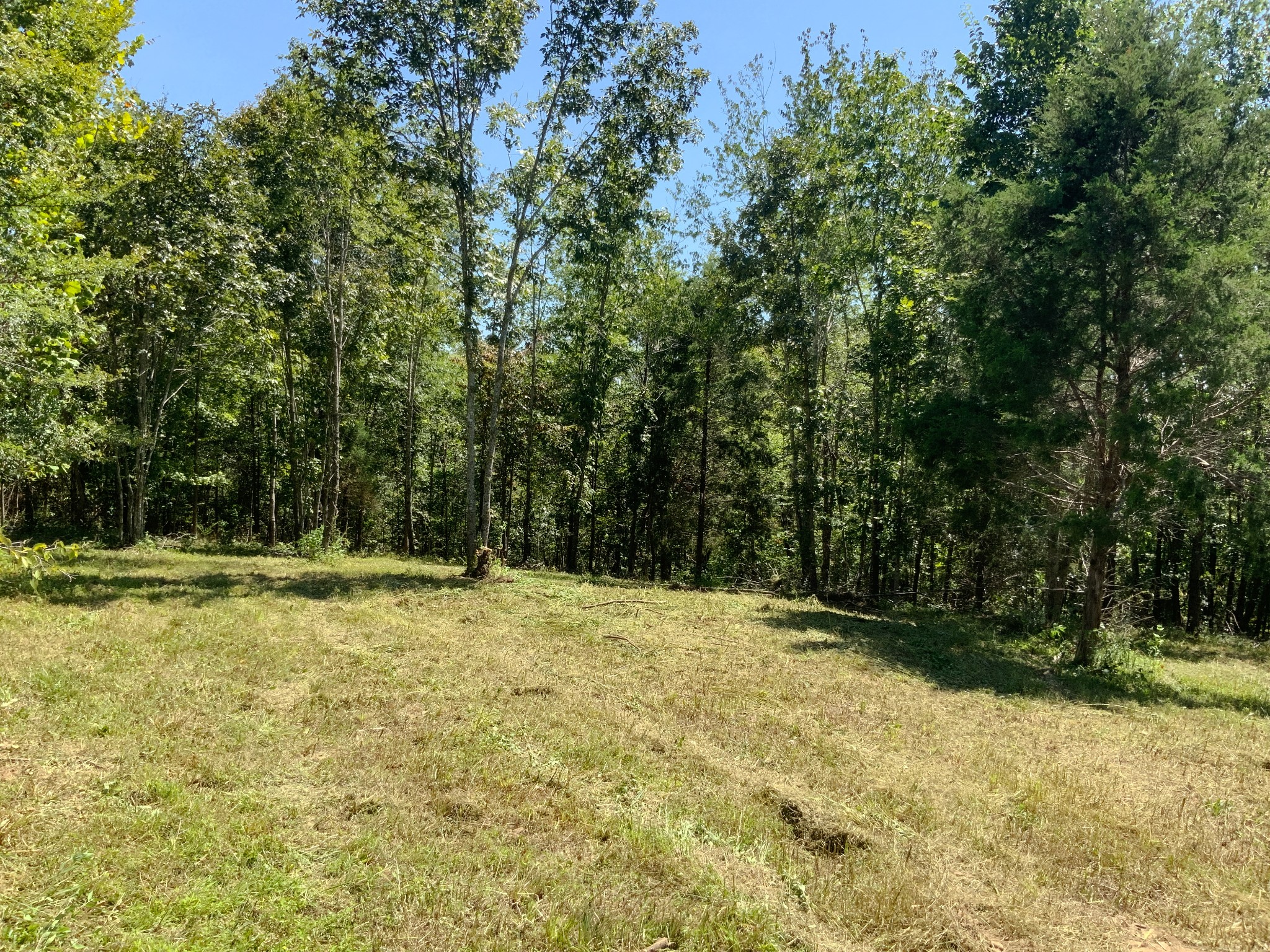 0 Streamside Drive Property Photo 8
