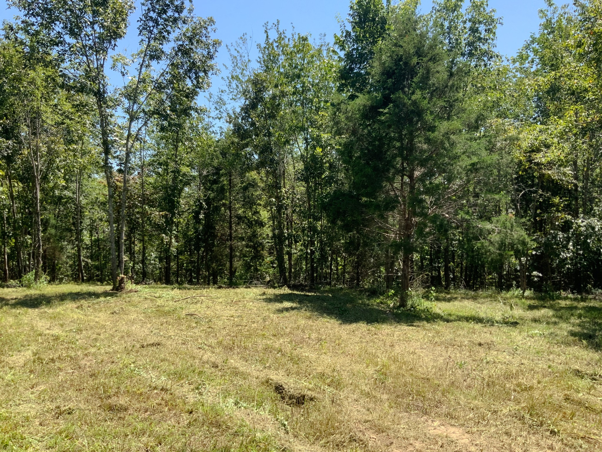 0 Streamside Drive Property Photo 9