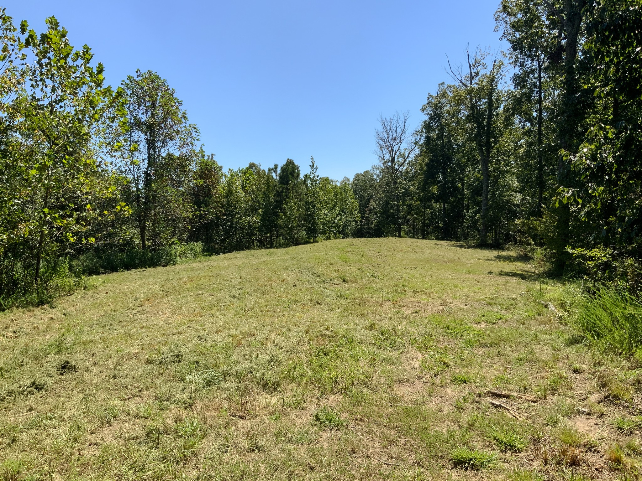 0 Streamside Drive Property Photo 10
