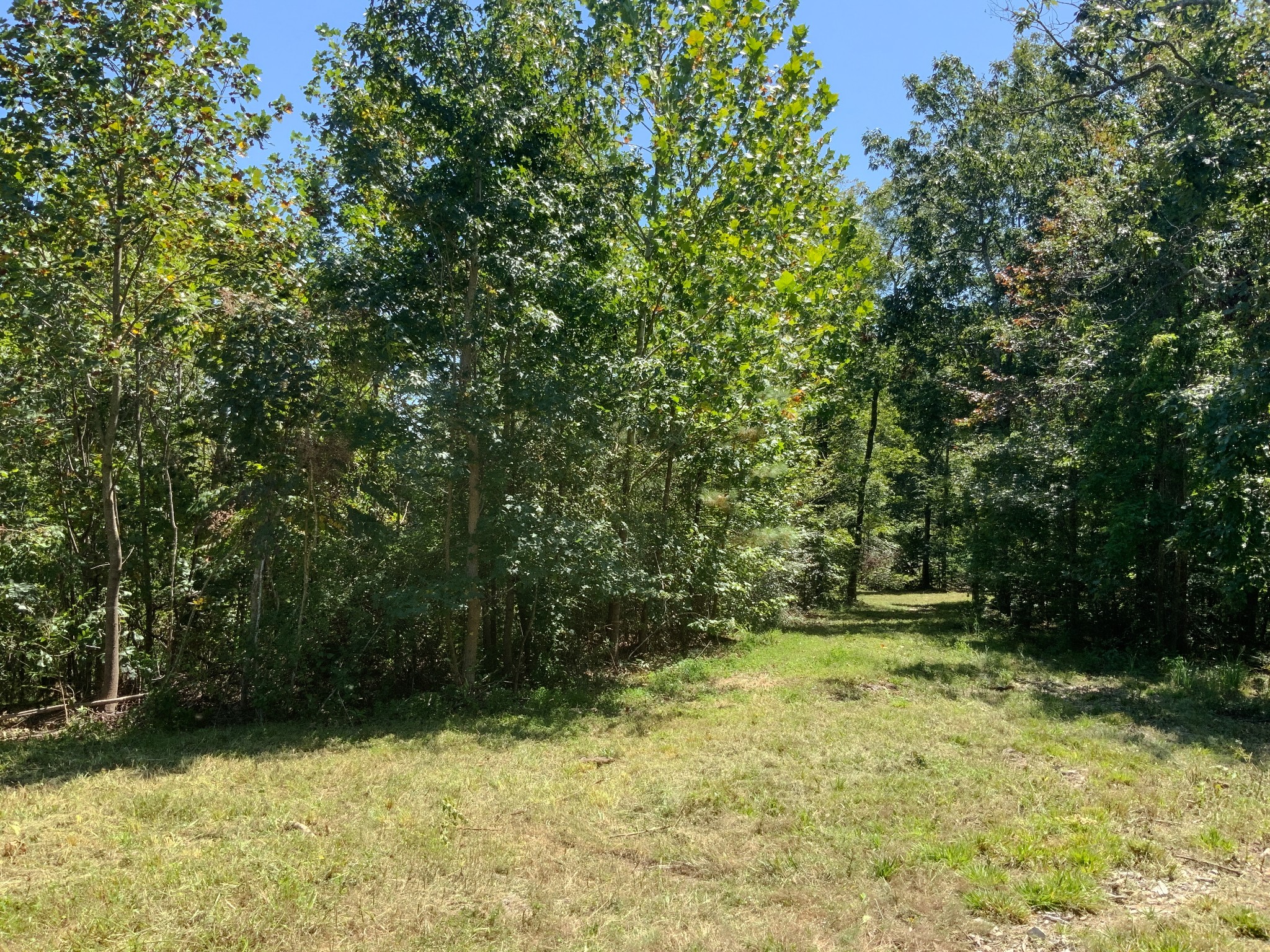 0 Streamside Drive Property Photo 12