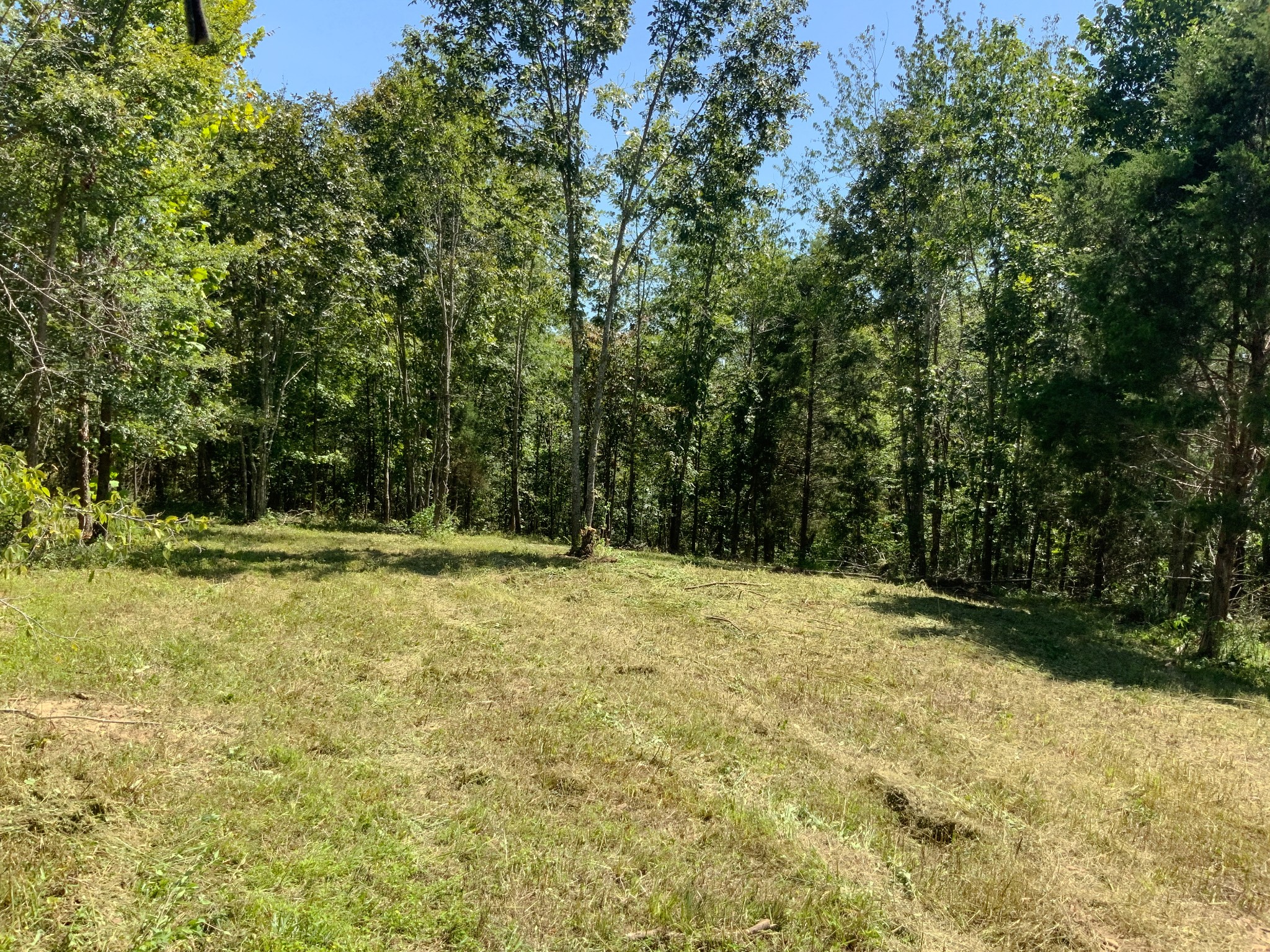0 Streamside Drive Property Photo 13