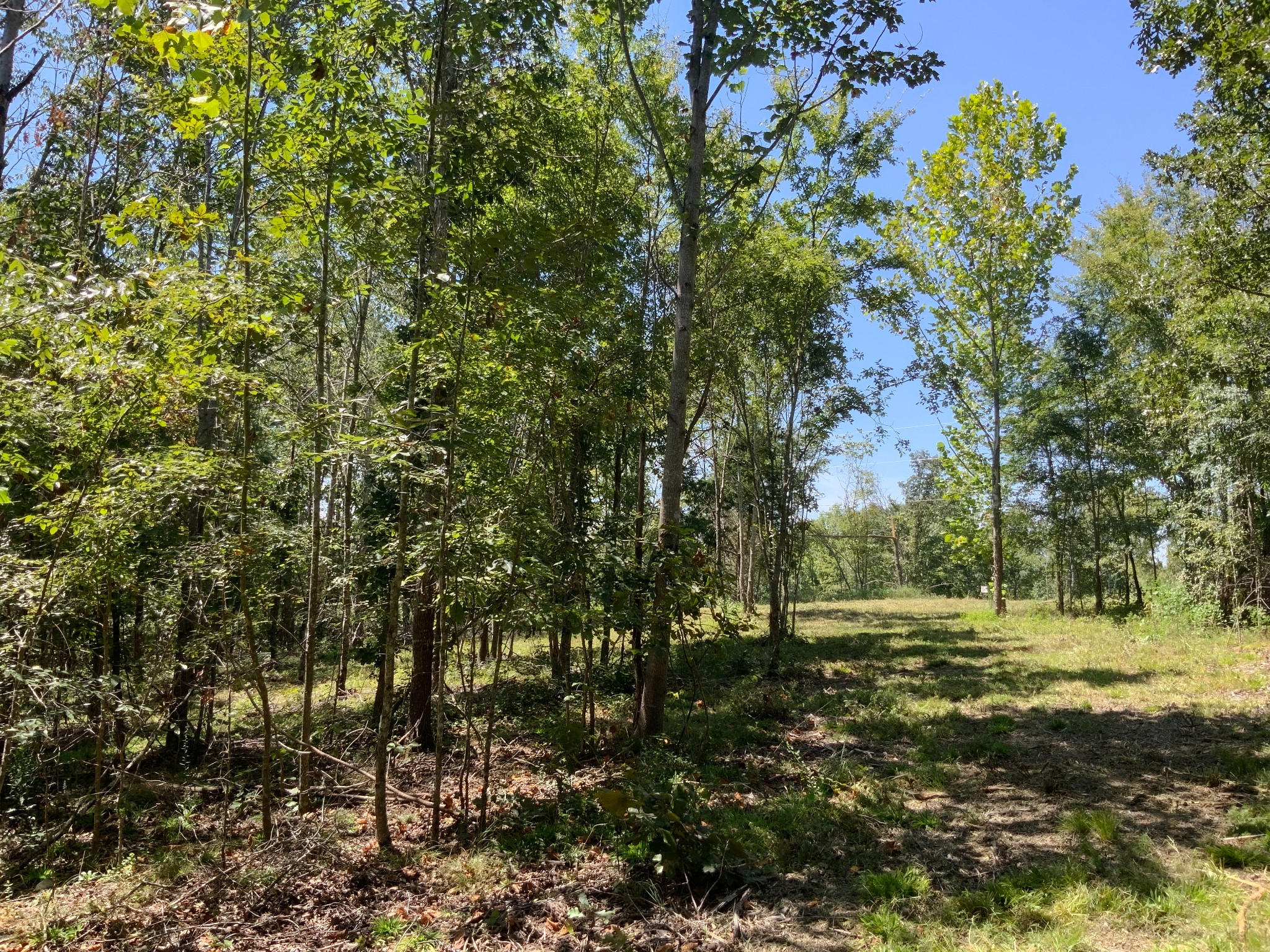 0 Streamside Drive Property Photo 14