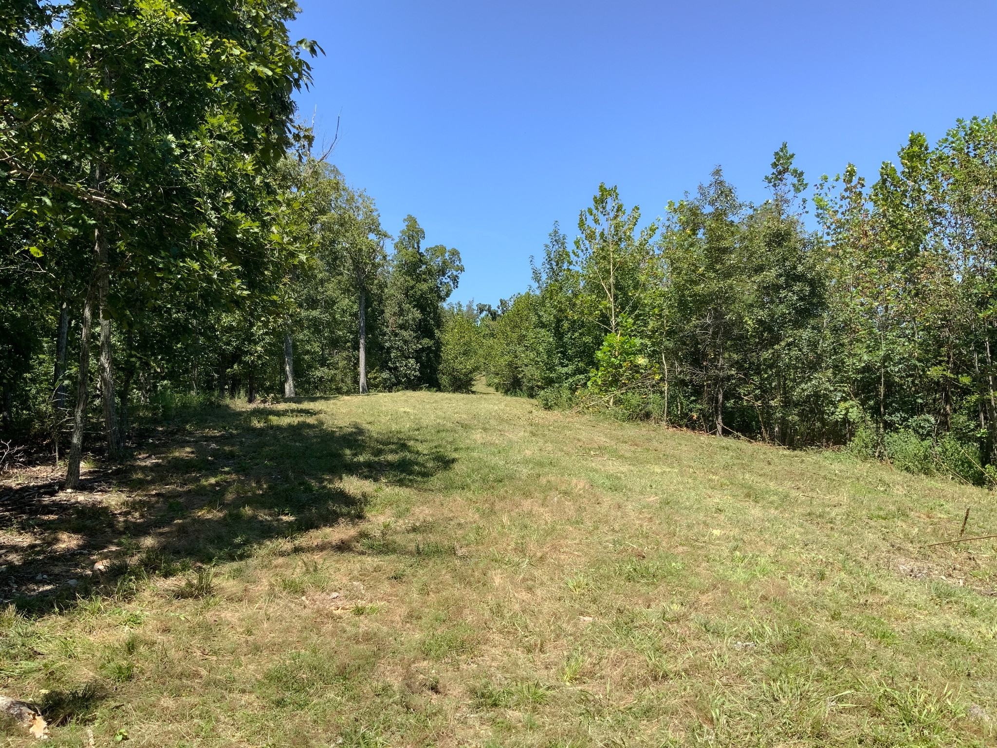 0 Streamside Drive Property Photo 17