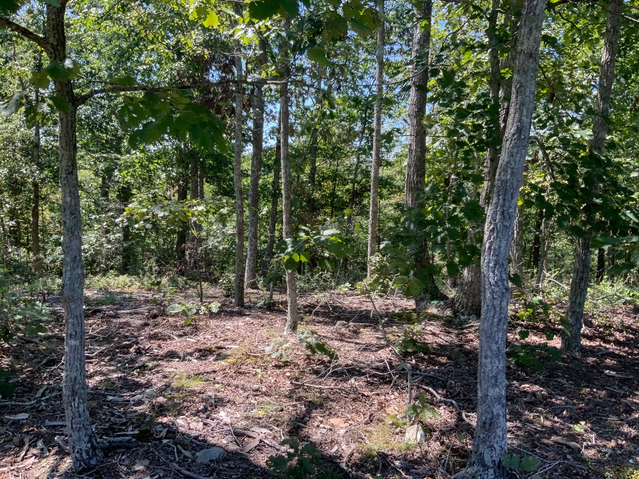 0 Streamside Drive Property Photo 18