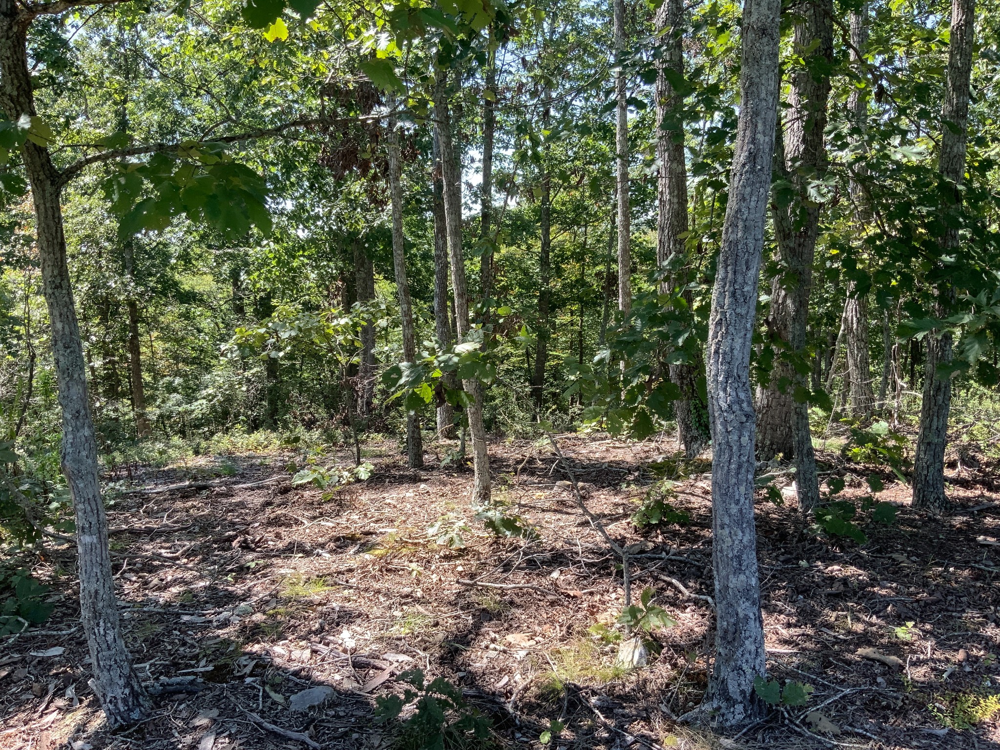 0 Streamside Drive Property Photo 19