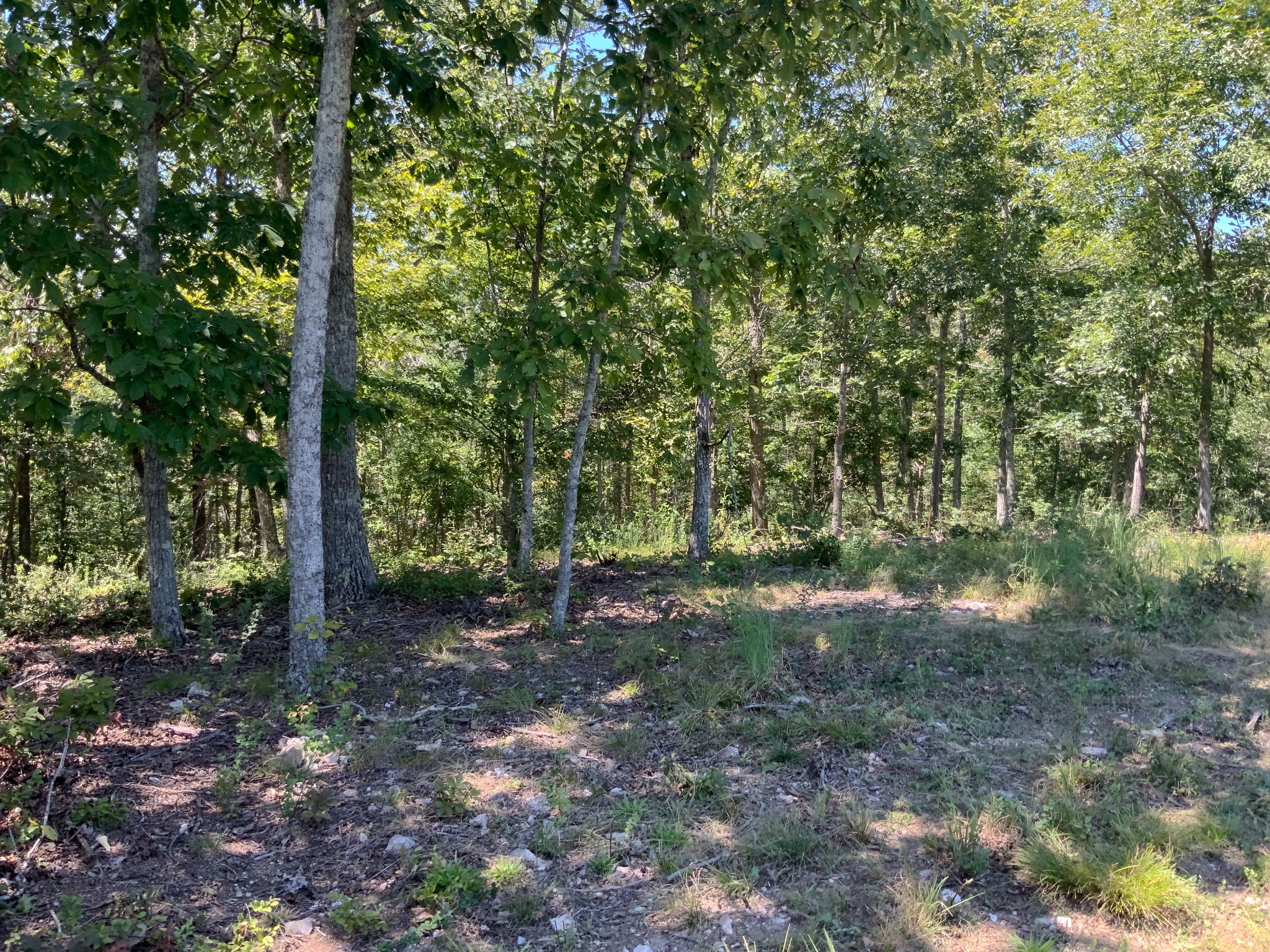 0 Streamside Drive Property Photo 20
