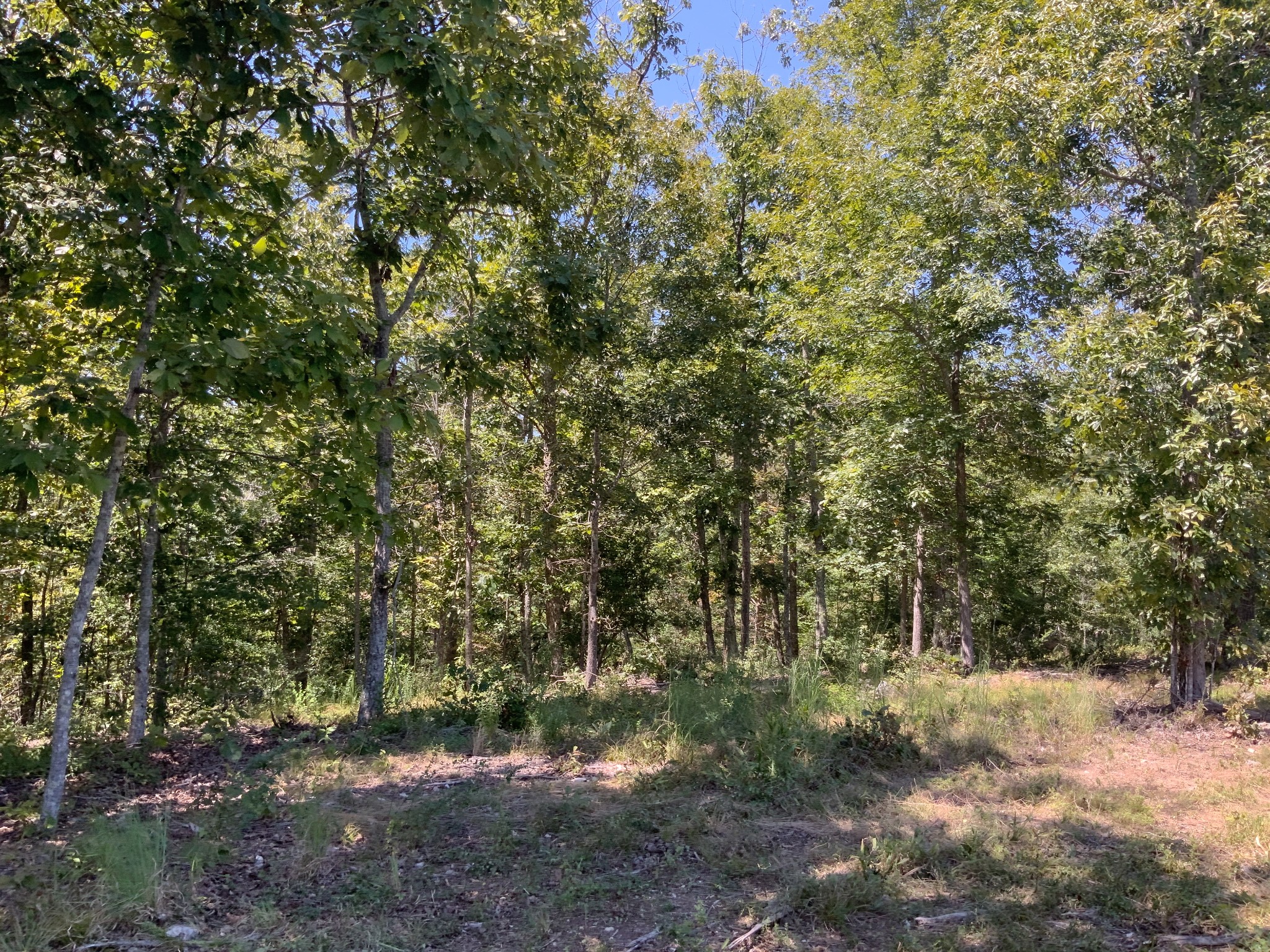 0 Streamside Drive Property Photo 22