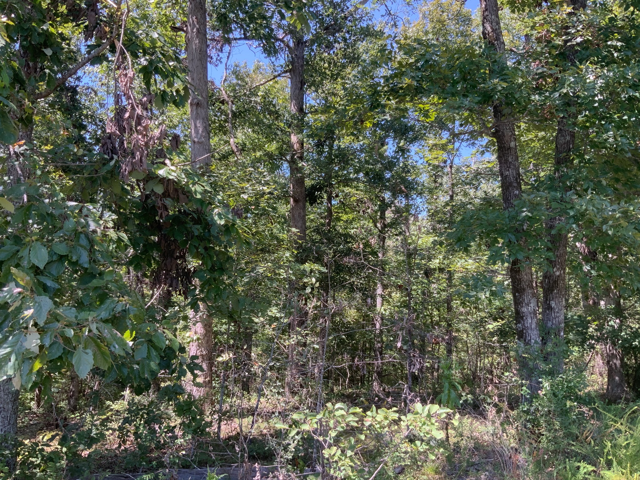 0 Streamside Drive Property Photo 23