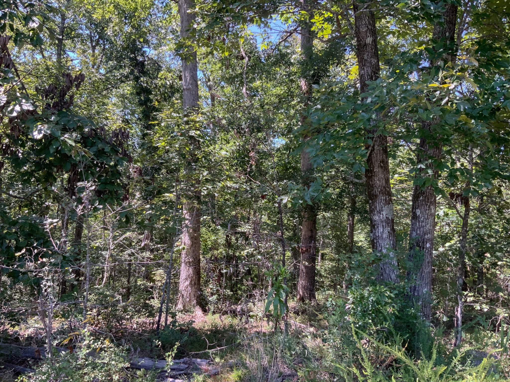 0 Streamside Drive Property Photo 25