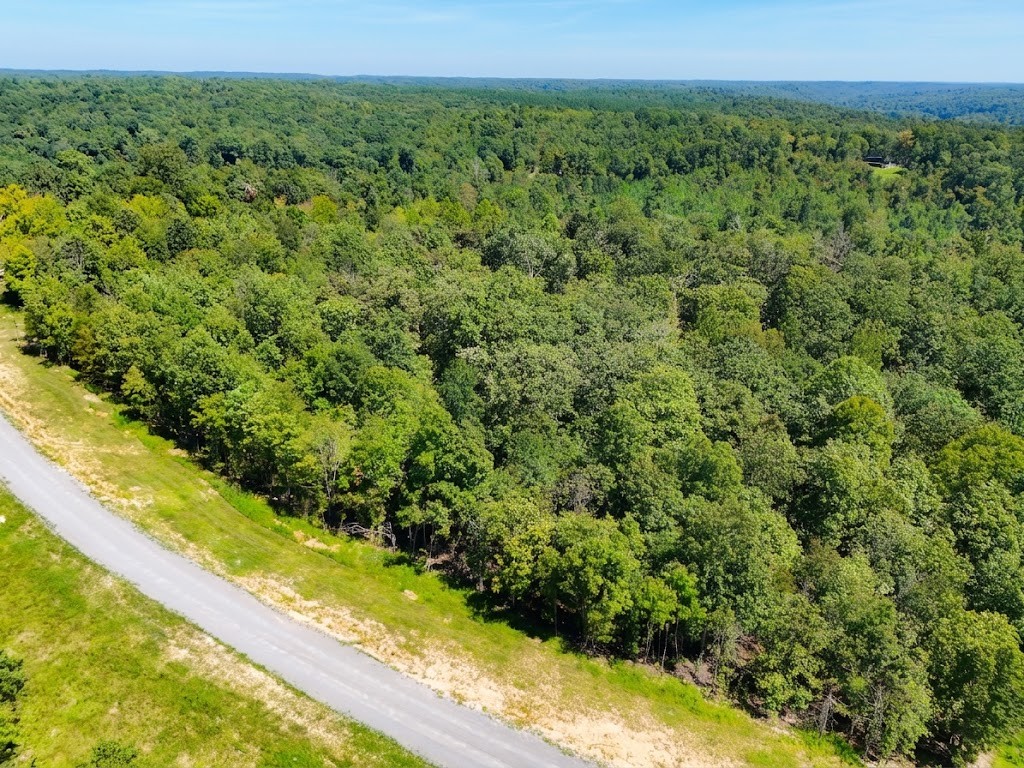 0 Streamside Drive Property Photo 26