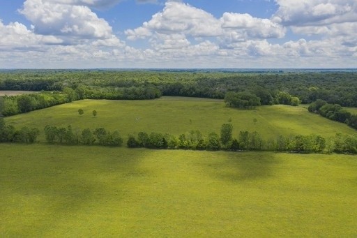 2781 Franklin Pike Property Photo 4