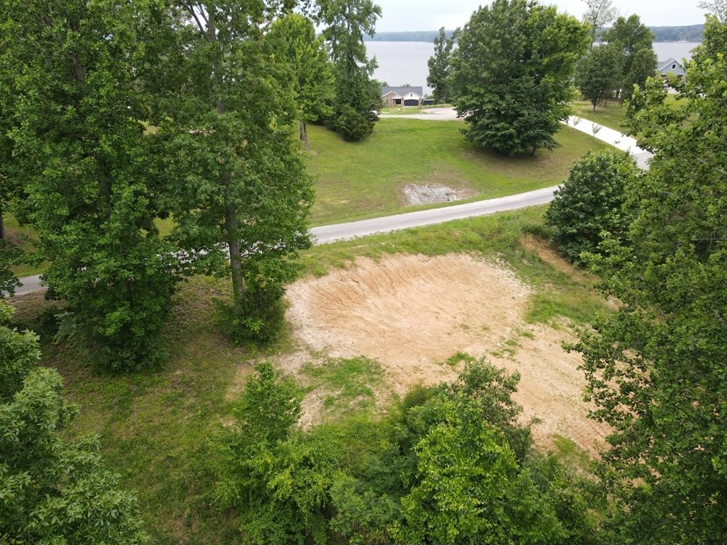 0 Overlook Ridge Property Photo 9