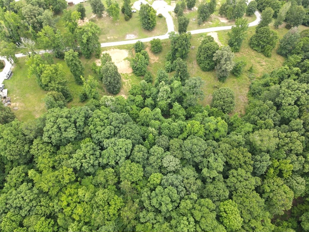 0 Overlook Ridge Property Photo 11